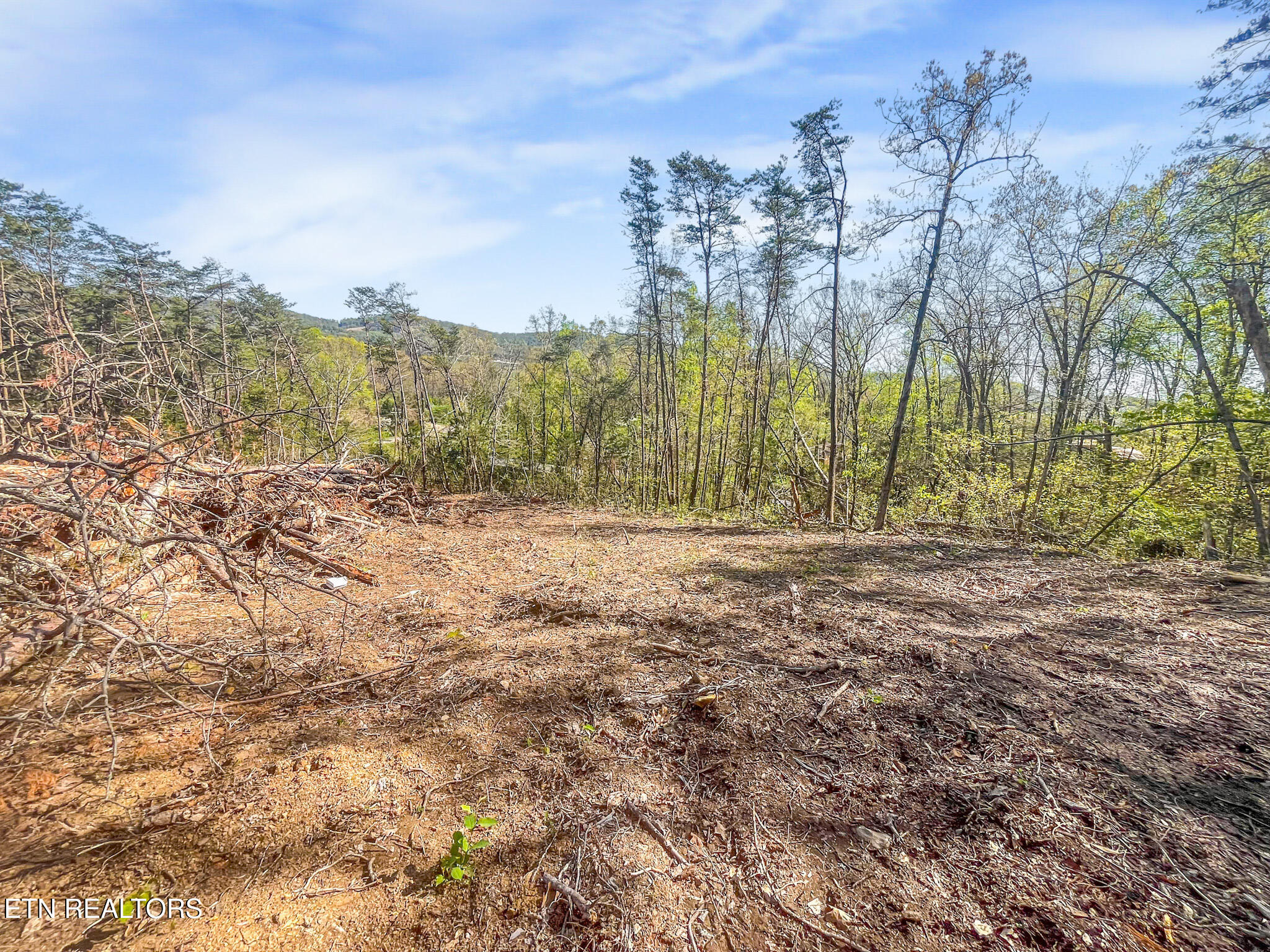 Lot 9 Reed Bull Road New Market, TN 37820 - Photo 6 of 28 IMG_4417