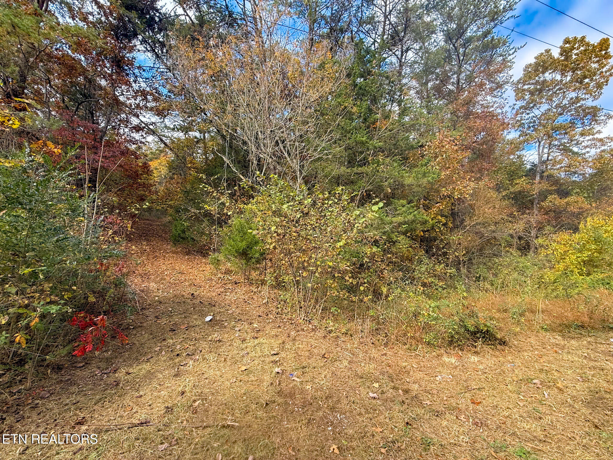 Lot 9 Reed Bull Road New Market, TN 37820 - Photo 7 of 28 IMG_1444