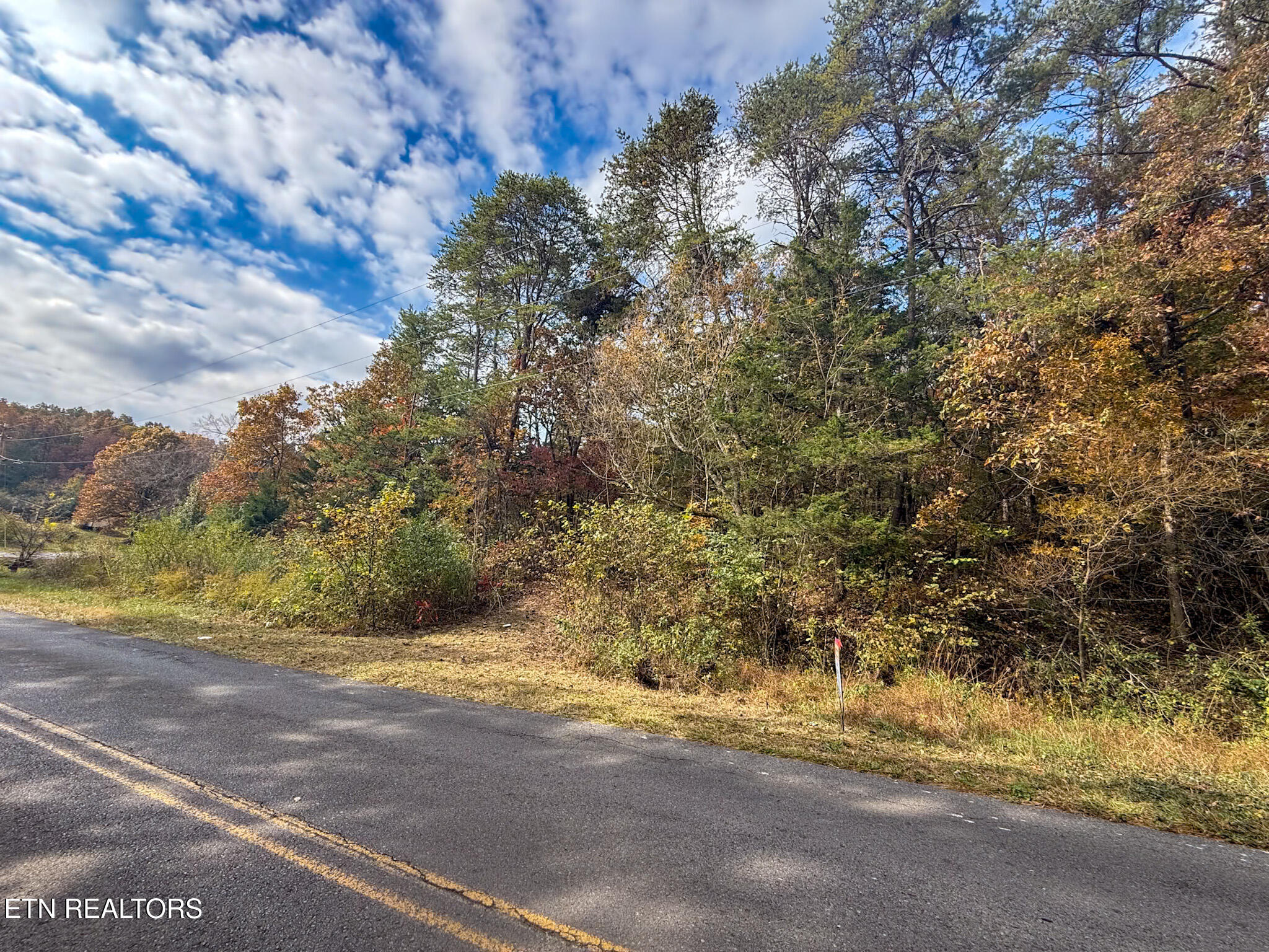 Lot 9 Reed Bull Road New Market, TN 37820 - Photo 8 of 28 IMG_1440