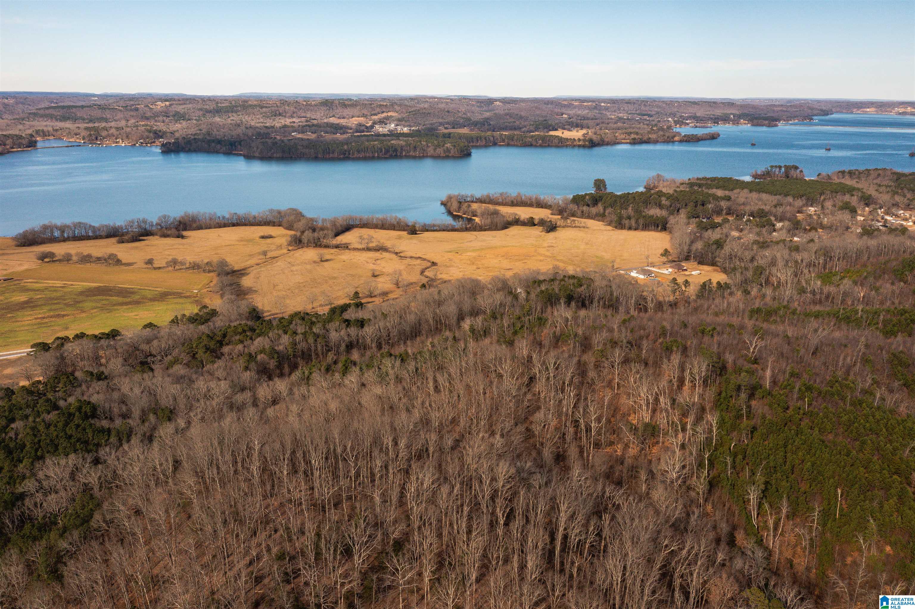 0 Browns Valley Road Guntersville, AL 35976 - Photo 23 of 39