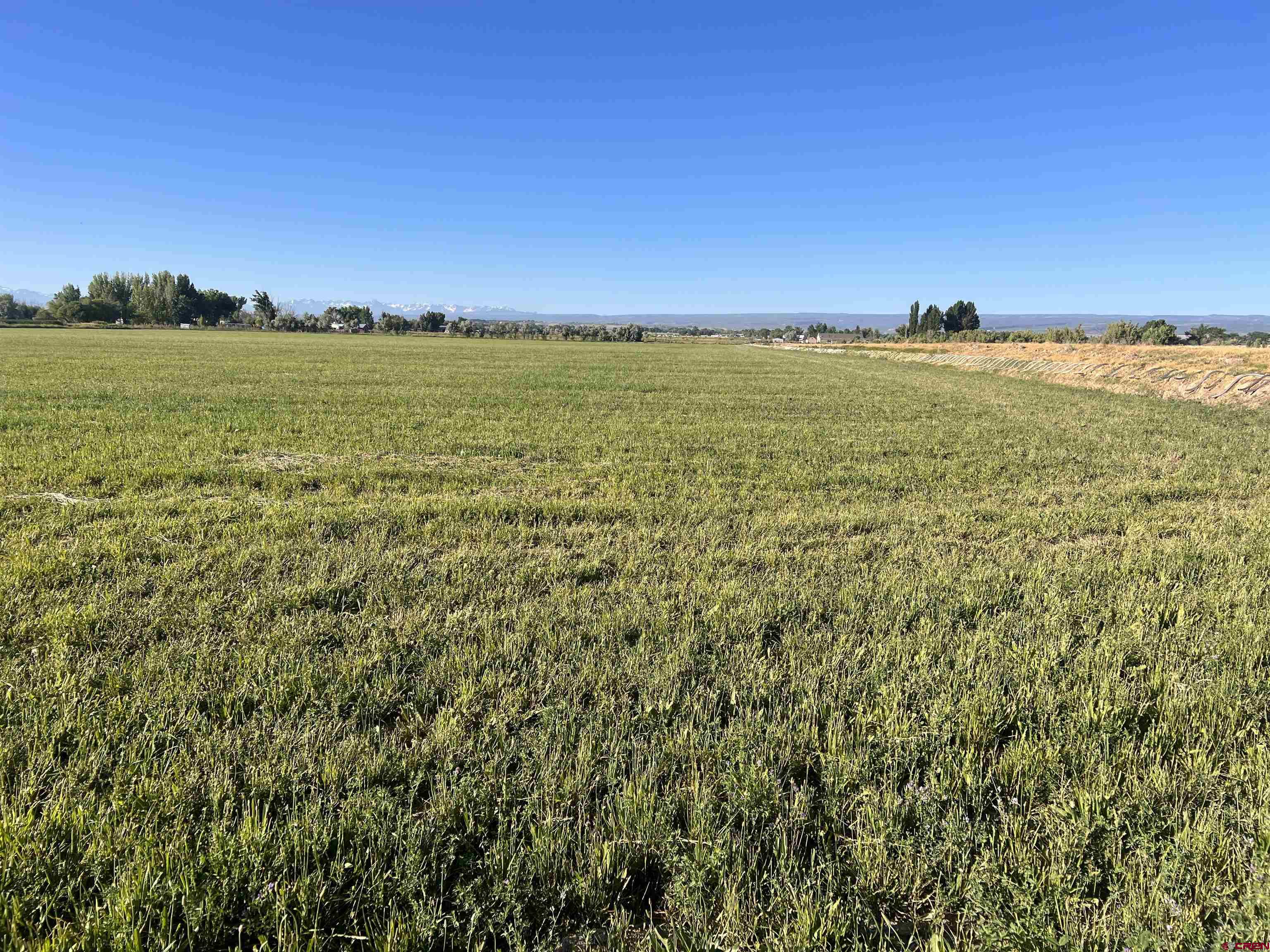 Tbd 5725th Road Olathe, CO 81425 - Photo 6 of 19