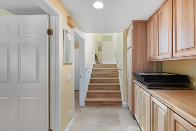 a view of a backyard with plants and large tree