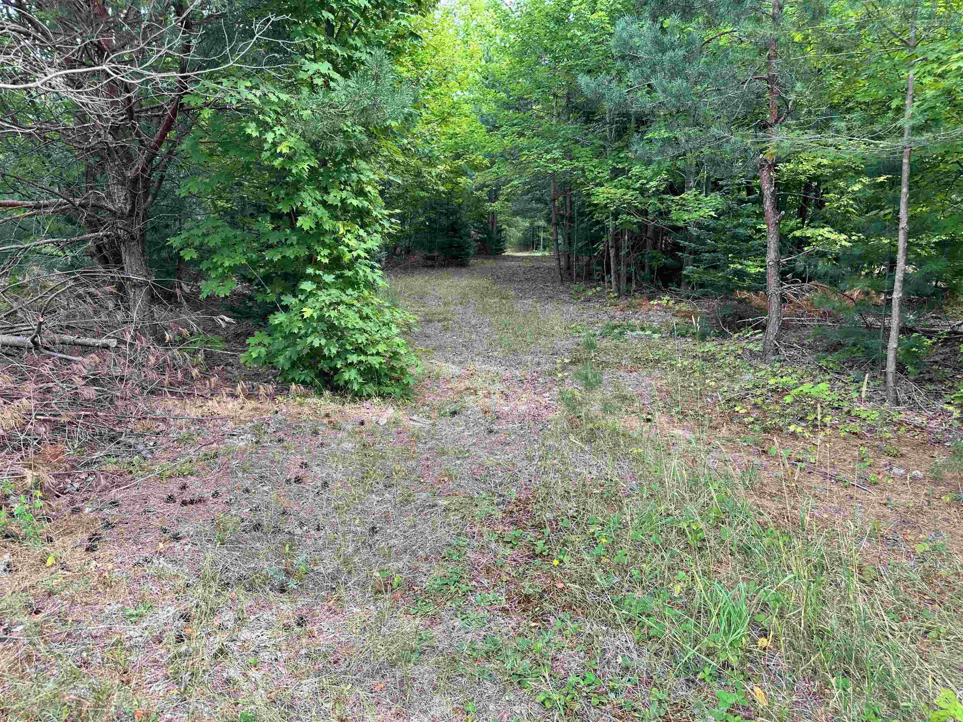 7658 Cedar River Road Mancelona, MI 49659 - Photo 10 of 24 1949521-23f5e805-cdb4-4c8c-bcdc-c3bb86346c7d.JPG