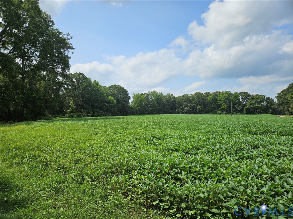 View of local wilderness featuring rural landscape