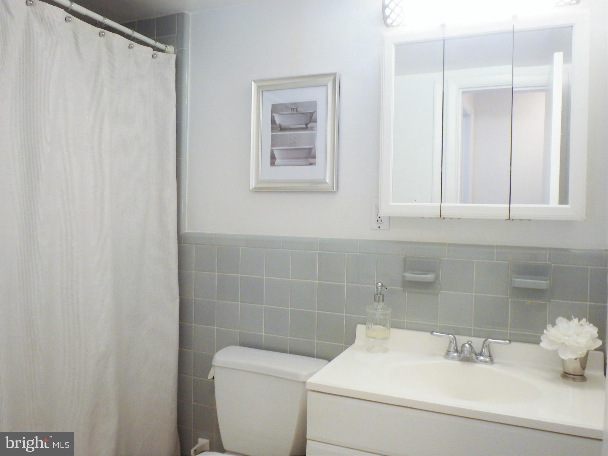 1 Center Road, Unit A2 Towson, MD 21286 - Photo 14 of 21 Bathroom with Tub