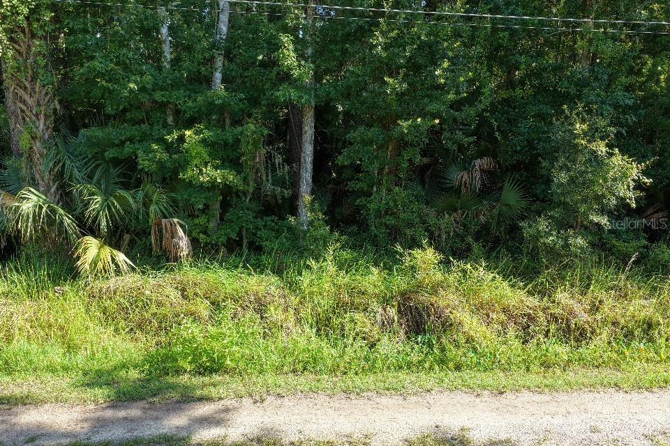 Gobbler Road Astor, FL 32102 - Photo 2 of 33 Gallery Image 2