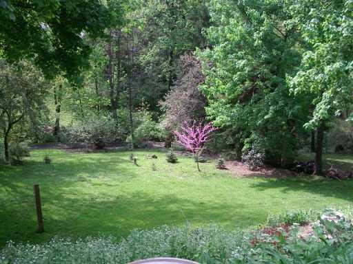 4769 Baptist Road Whitehall, PA 15227 - Photo 8 of 8 Yard/Garden.