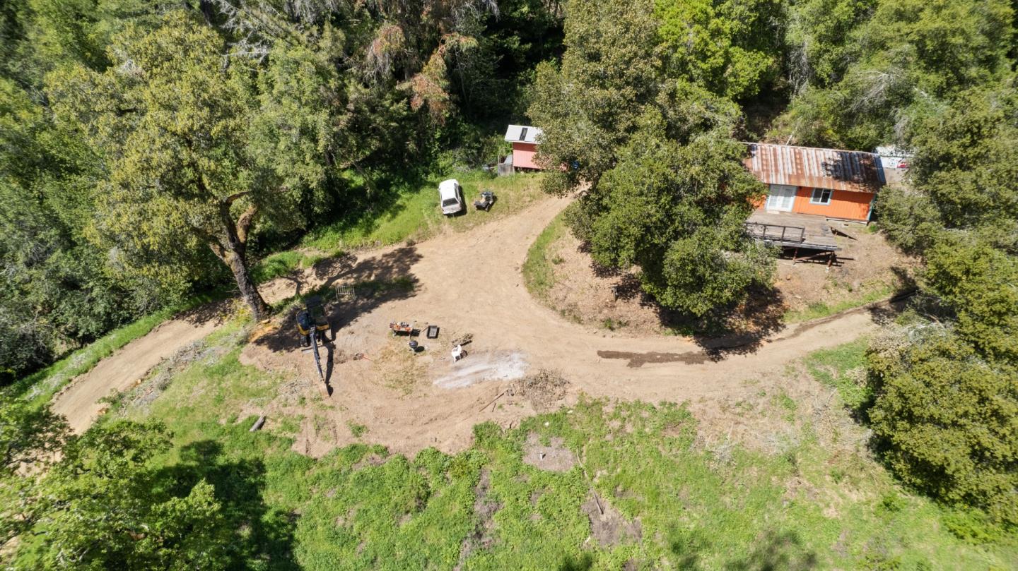 a view of a yard with plants
