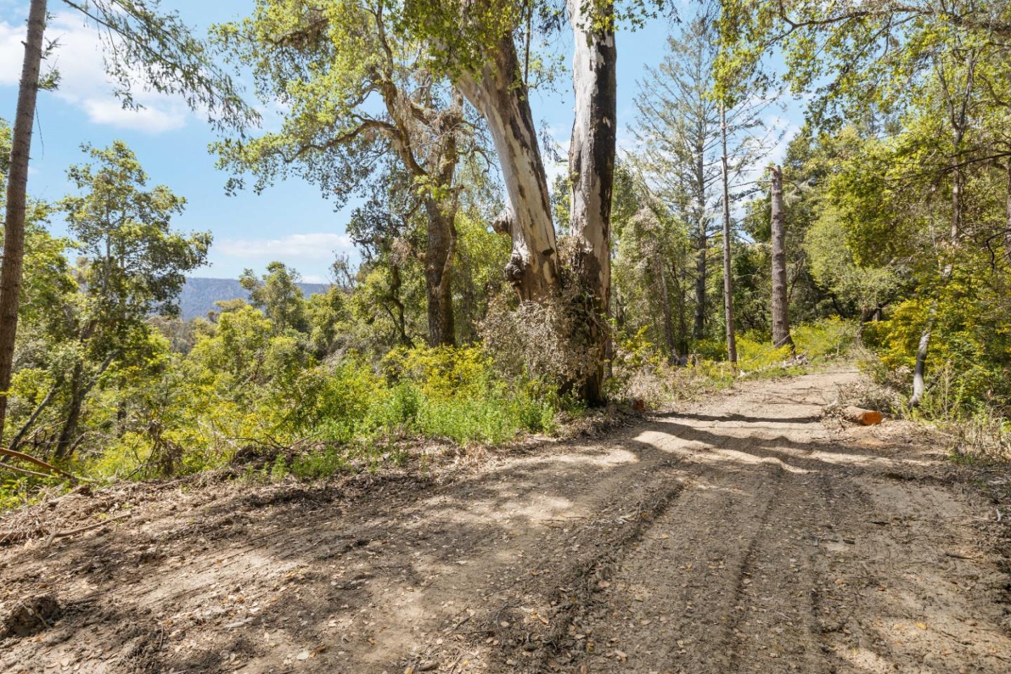 12 Doeg Road Boulder Creek, CA 95006 - Photo 11 of 19 a backyard of a house with lots of green space