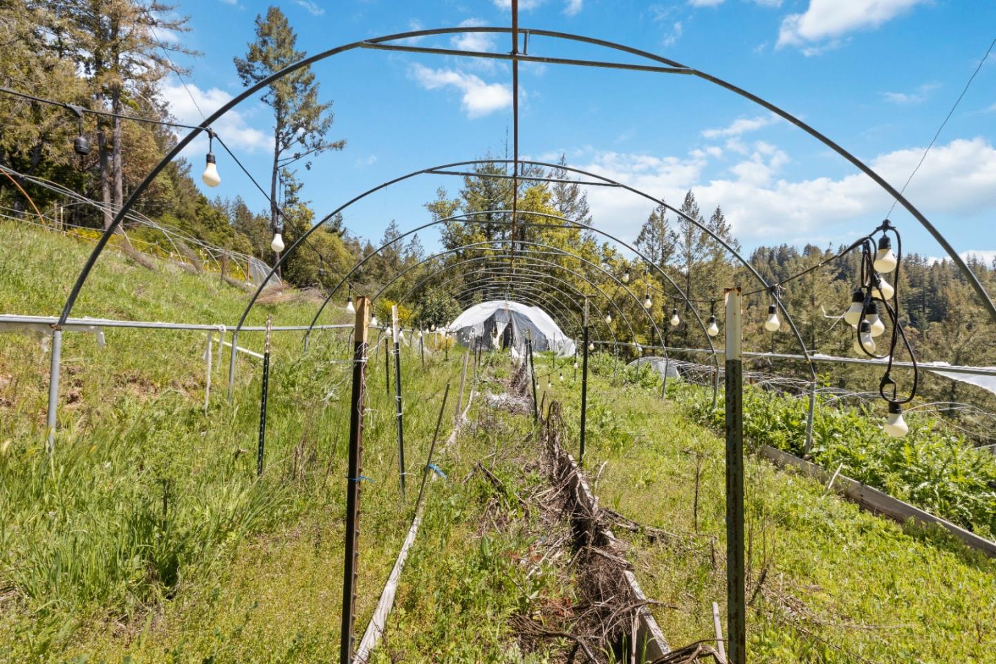 12 Doeg Road Boulder Creek, CA 95006 - Photo 13 of 19 a bathroom with a shower