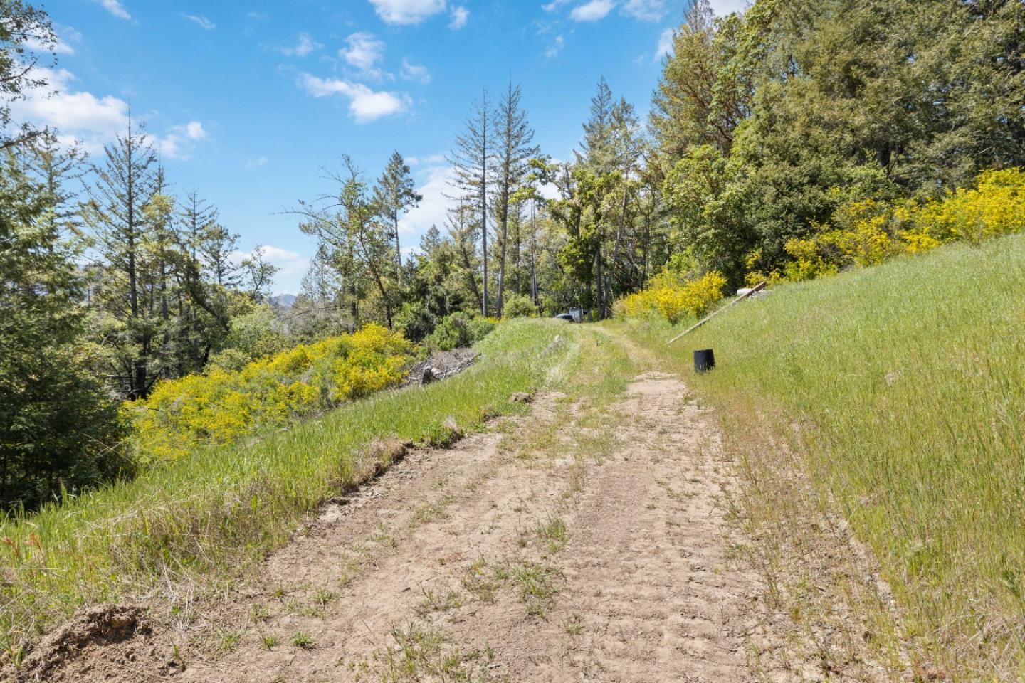 12 Doeg Road Boulder Creek, CA 95006 - Photo 14 of 19 a view of a yard with trees