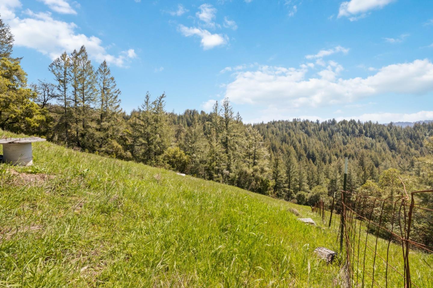 12 Doeg Road Boulder Creek, CA 95006 - Photo 15 of 19 a view of a yard with an outdoor space