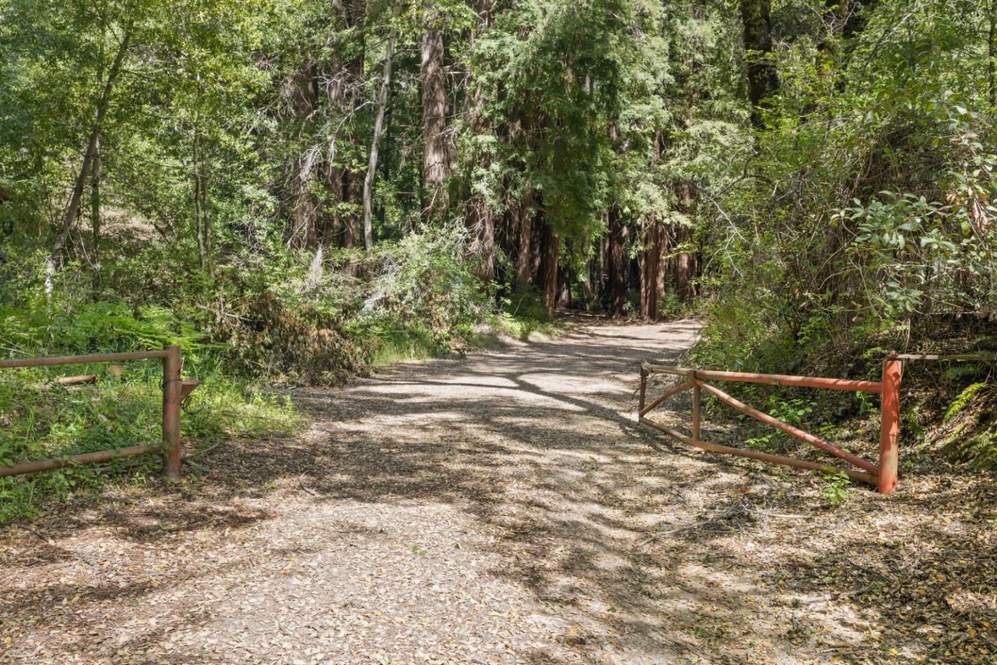 12 Doeg Road Boulder Creek, CA 95006 - Photo 18 of 19 a view of a yard with large tree