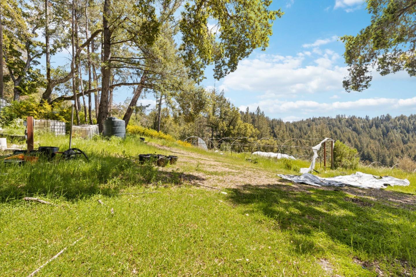 12 Doeg Road Boulder Creek, CA 95006 - Photo 9 of 19 a view of a yard with an trees