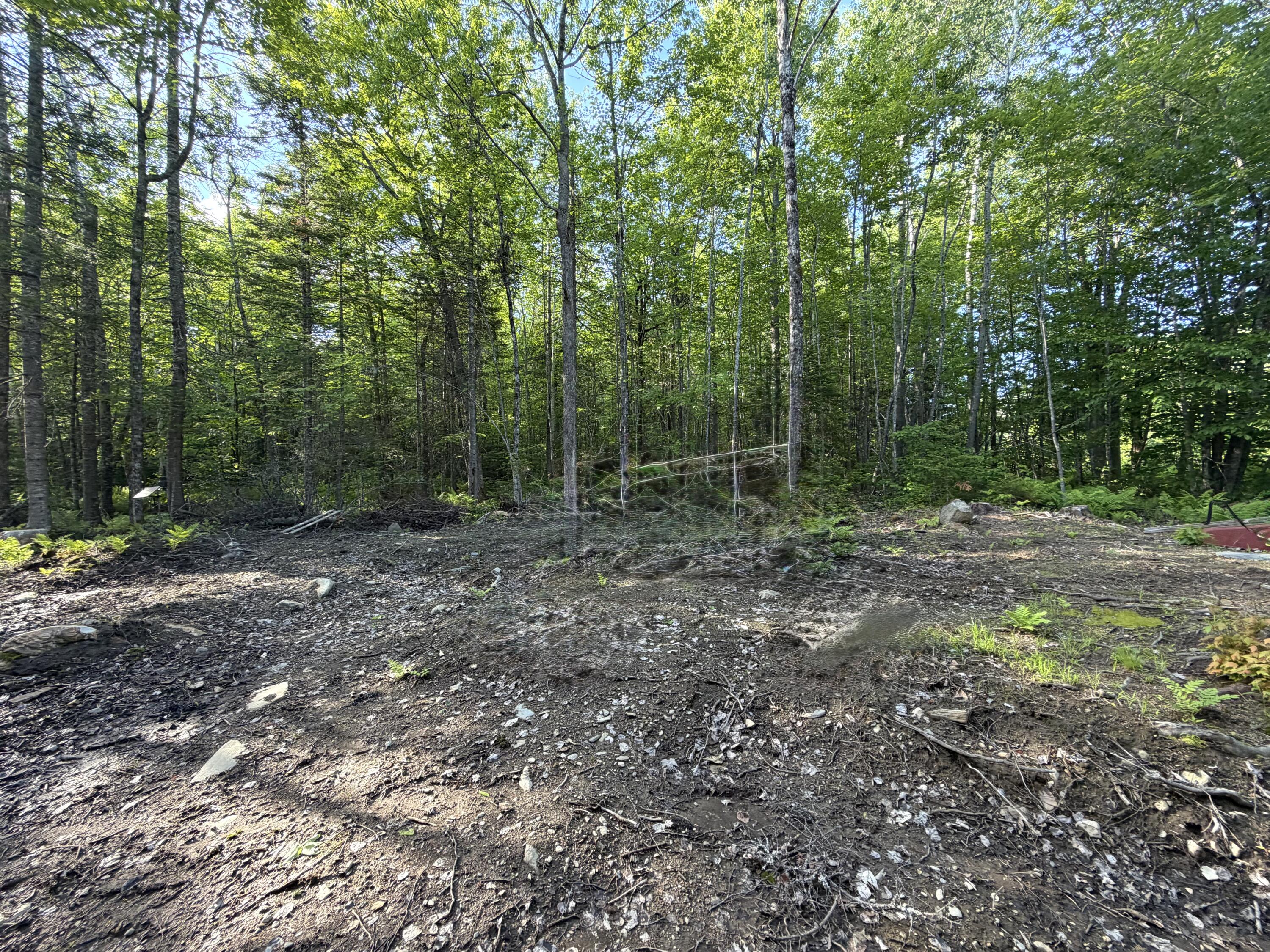 Lot 12-001 Off North Guilford Road Monson, ME 04464 - Photo 24 of 48