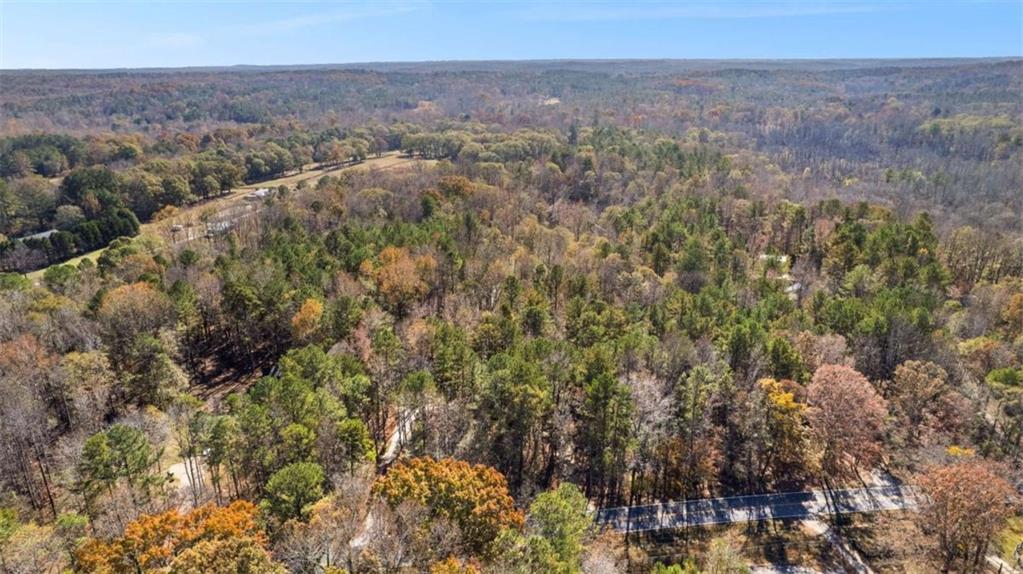 12030 Hutchesons Ferry Road Chattahoochee Hills, GA 30268 - Photo 67 of 68