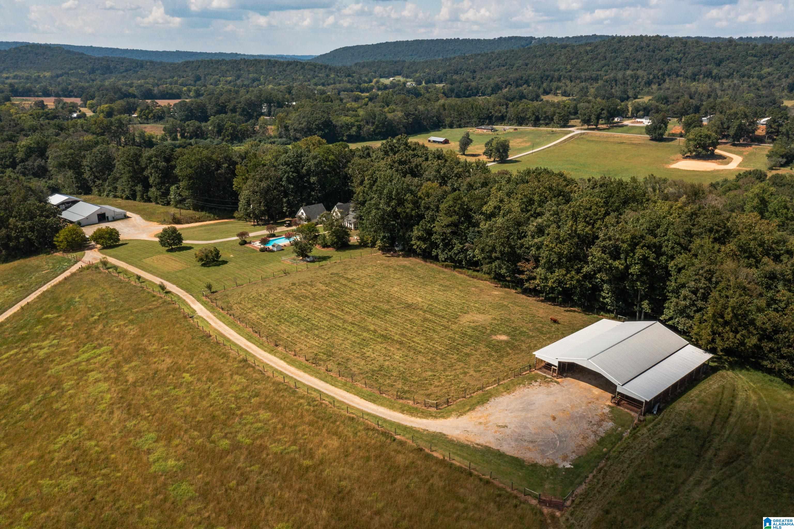 3124 County Road 39 Oneonta, AL 35121 - Photo 78 of 98