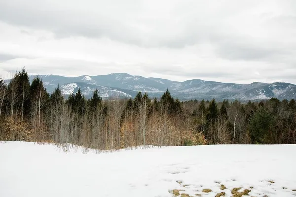 $445,000 | D37 Eagle Ridge Road, Unit D37, Intervale, NH 03845