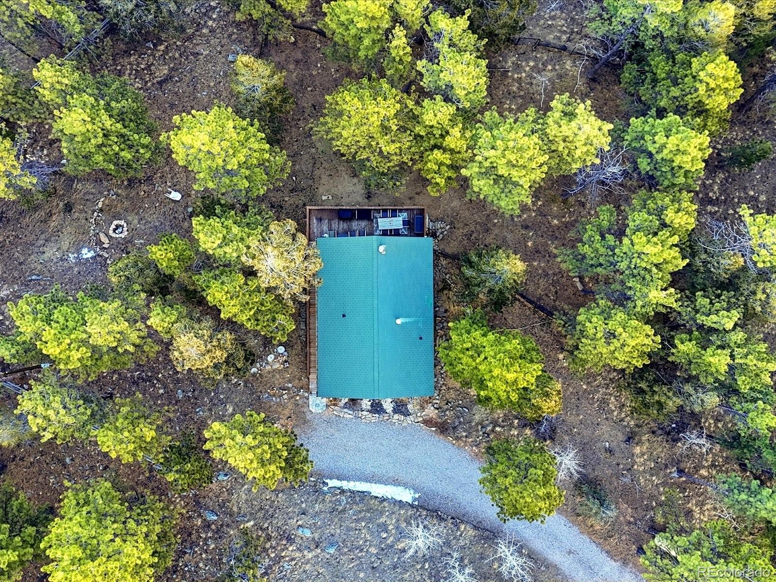 201 Moss Rock Road Bailey, CO 80421 - Photo 41 of 43 a green field with lots of flowers