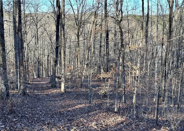 $450,000 | 8555 Woodland Brooke Trail, Cumming, GA 30028