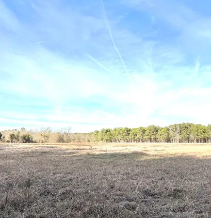 $315,000 | Tbd Tbd Felderville Road, Elloree, SC 29047