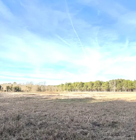 $315,000 | Tbd Tbd Felderville Road, Elloree, SC 29047