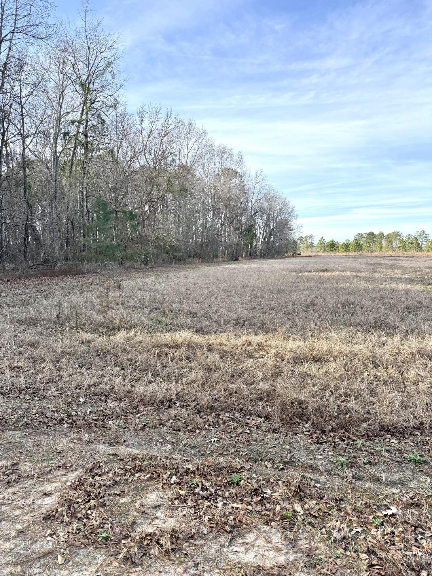 Tbd Tbd Felderville Road Elloree, SC 29047 - Photo 8 of 8 IMG_3469