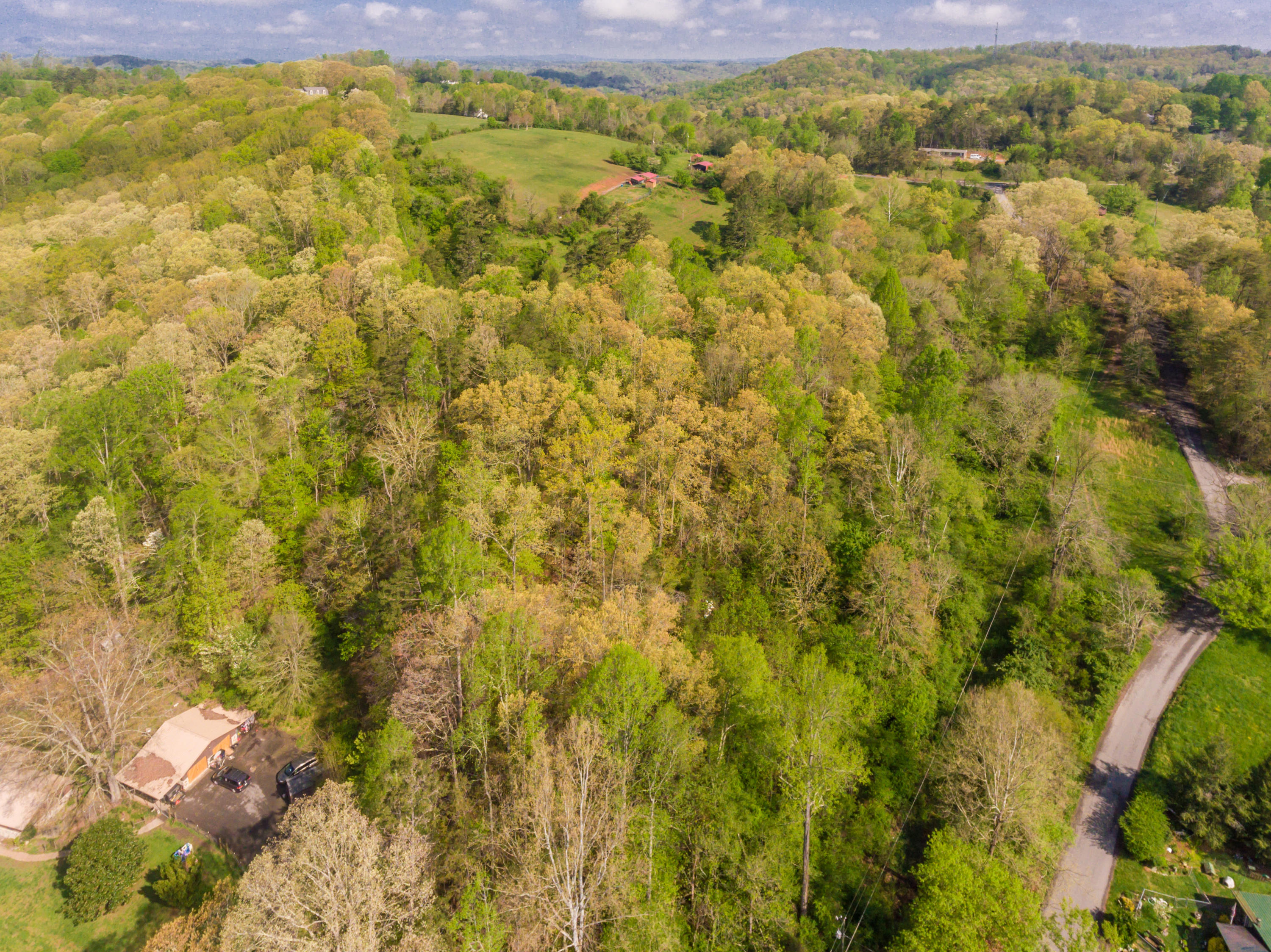 View Road Knoxville, TN 37938 - Photo 14 of 35 8707HighlandView-28