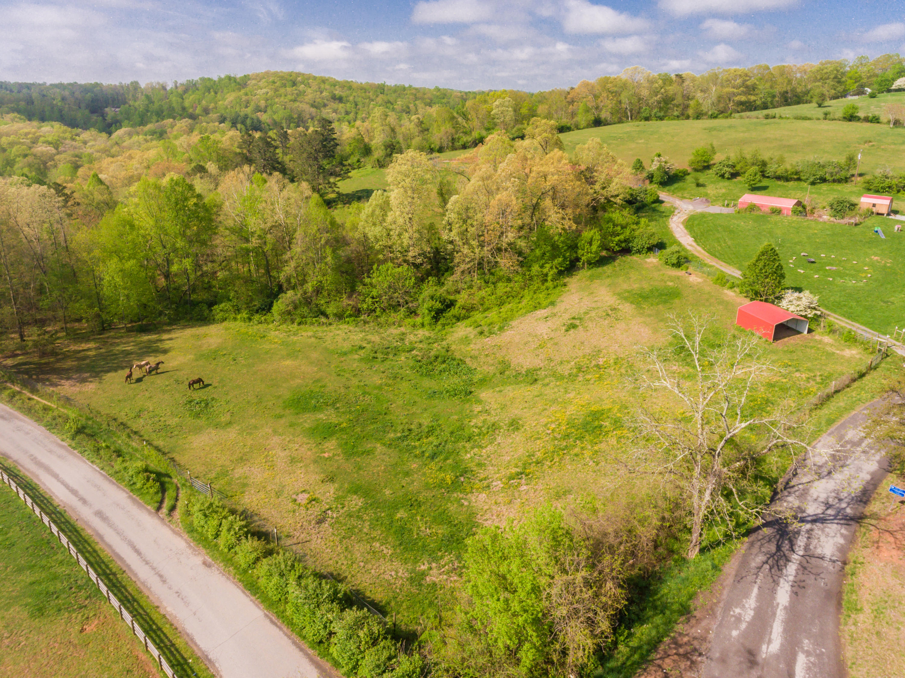 View Road Knoxville, TN 37938 - Photo 15 of 35 8707HighlandView-31