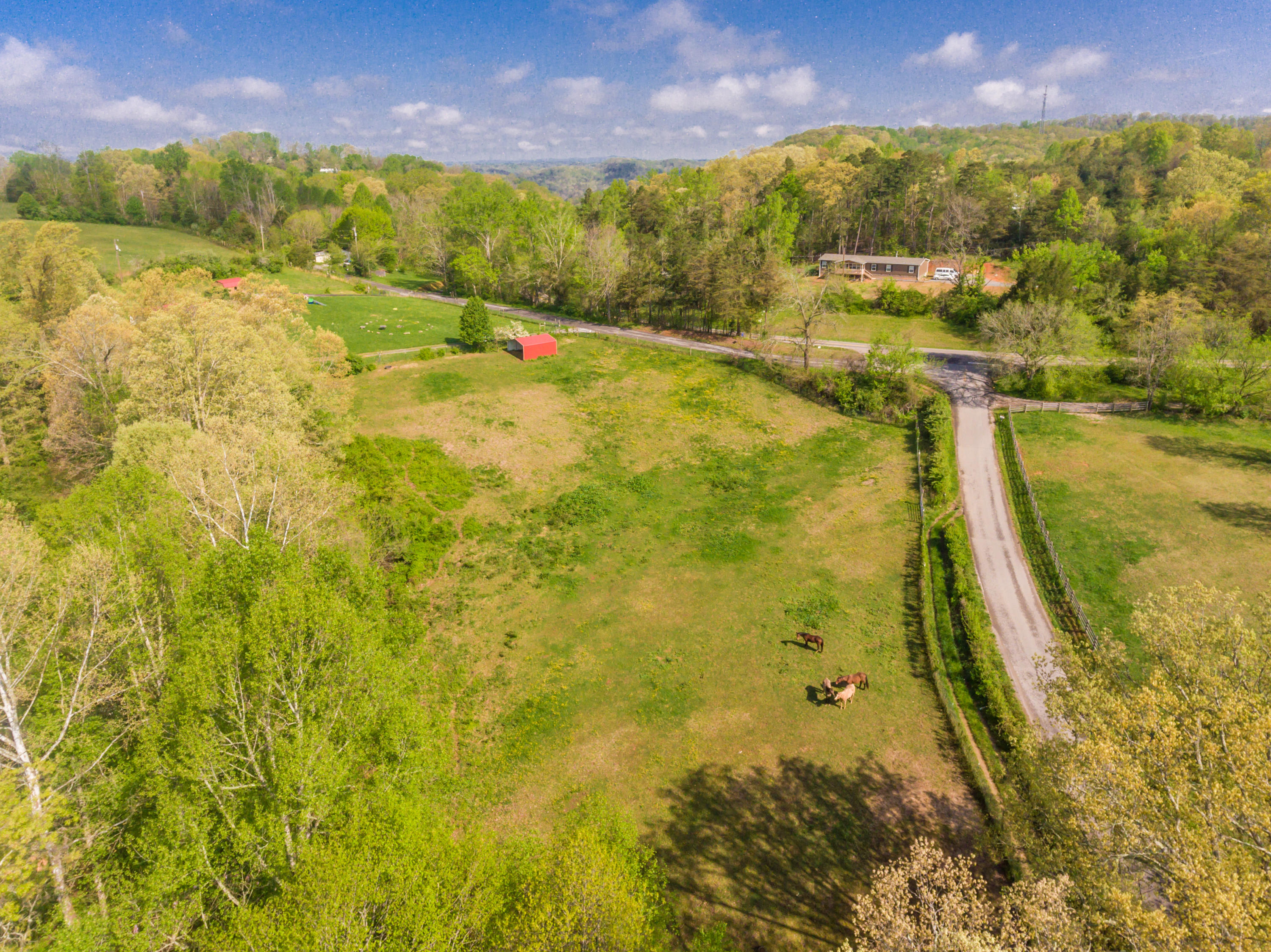 View Road Knoxville, TN 37938 - Photo 16 of 35 8707HighlandView-30