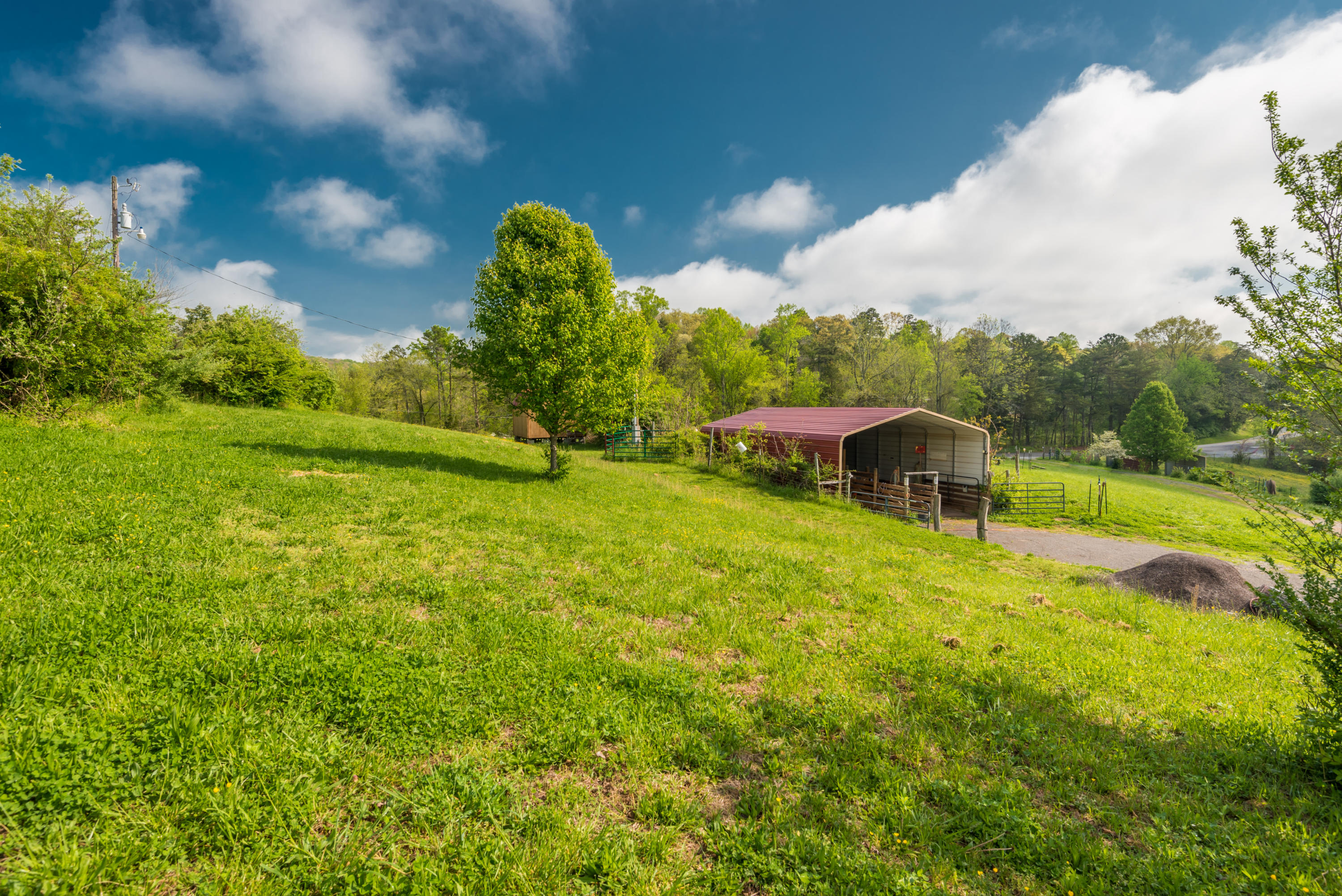 View Road Knoxville, TN 37938 - Photo 18 of 35 8707HighlandView-10