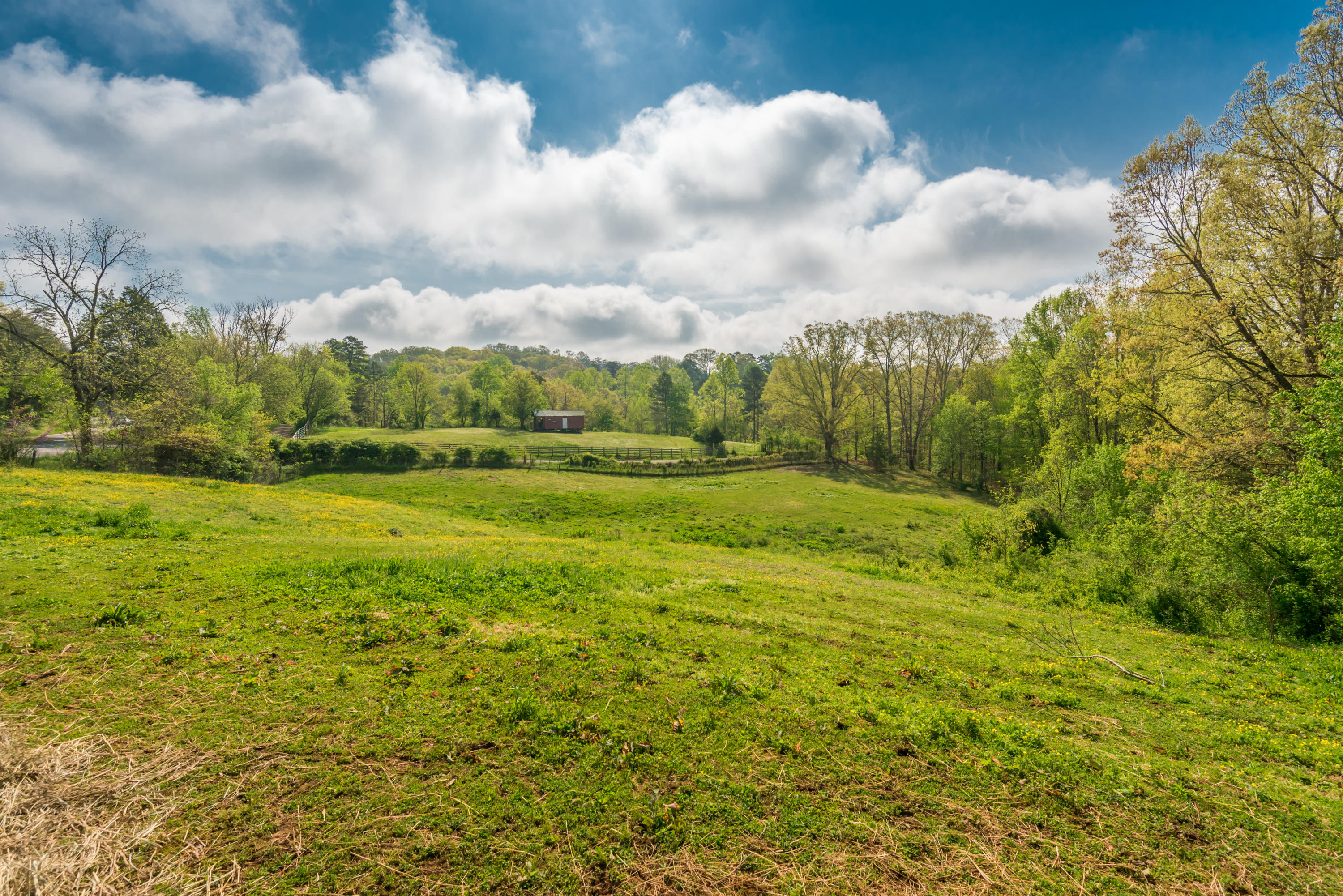 View Road Knoxville, TN 37938 - Photo 21 of 35 8707HighlandView-14