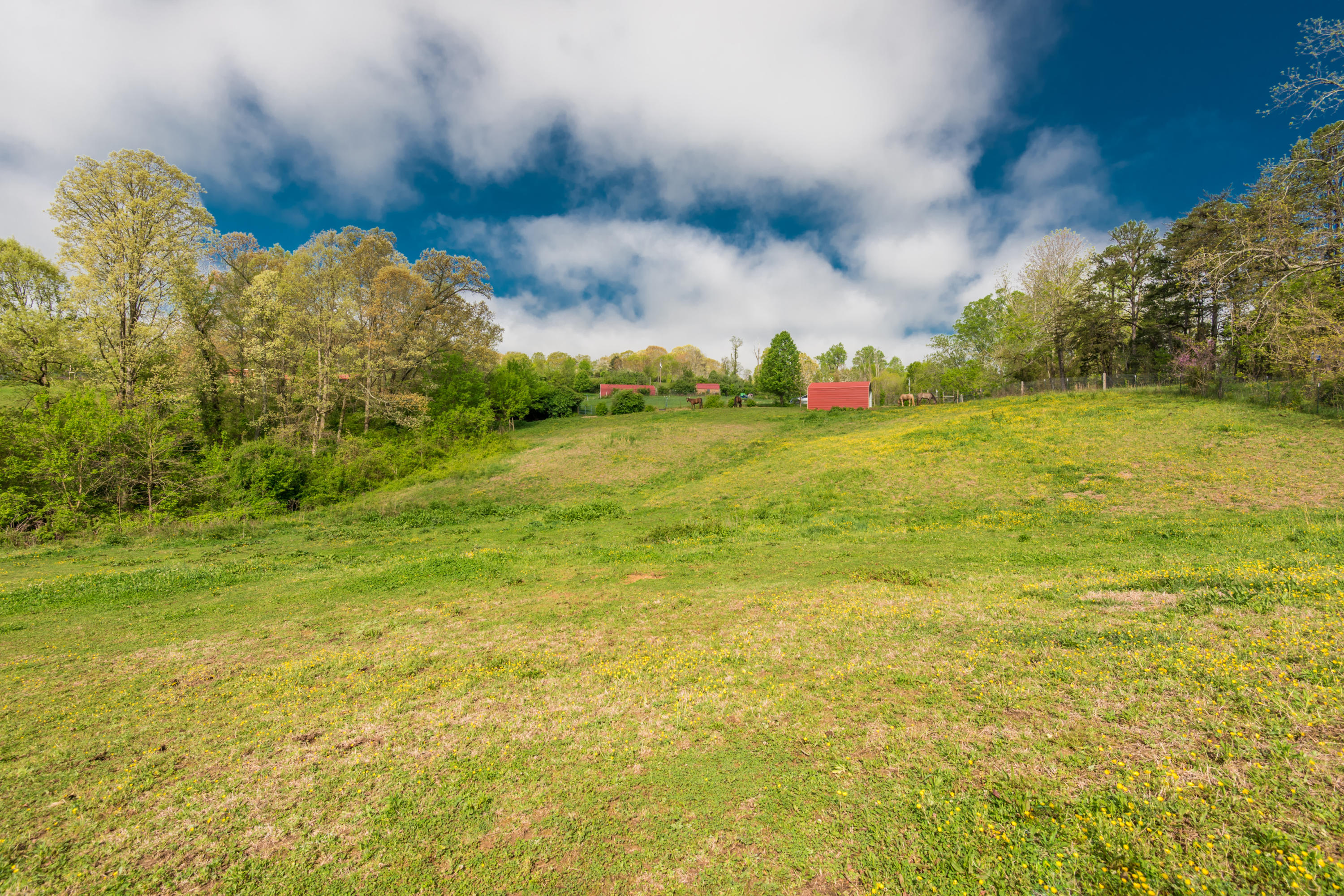 View Road Knoxville, TN 37938 - Photo 22 of 35 8707HighlandView-15