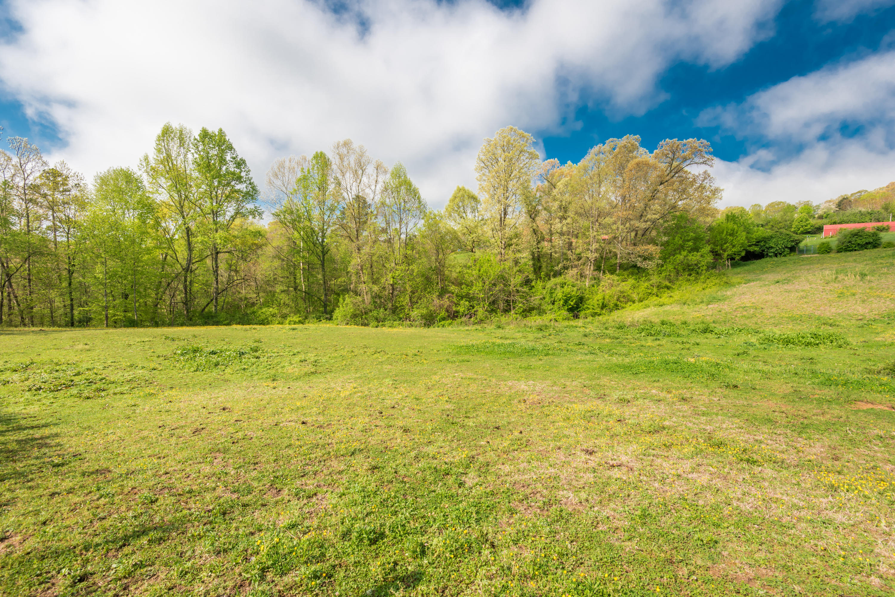 View Road Knoxville, TN 37938 - Photo 23 of 35 8707HighlandView-16