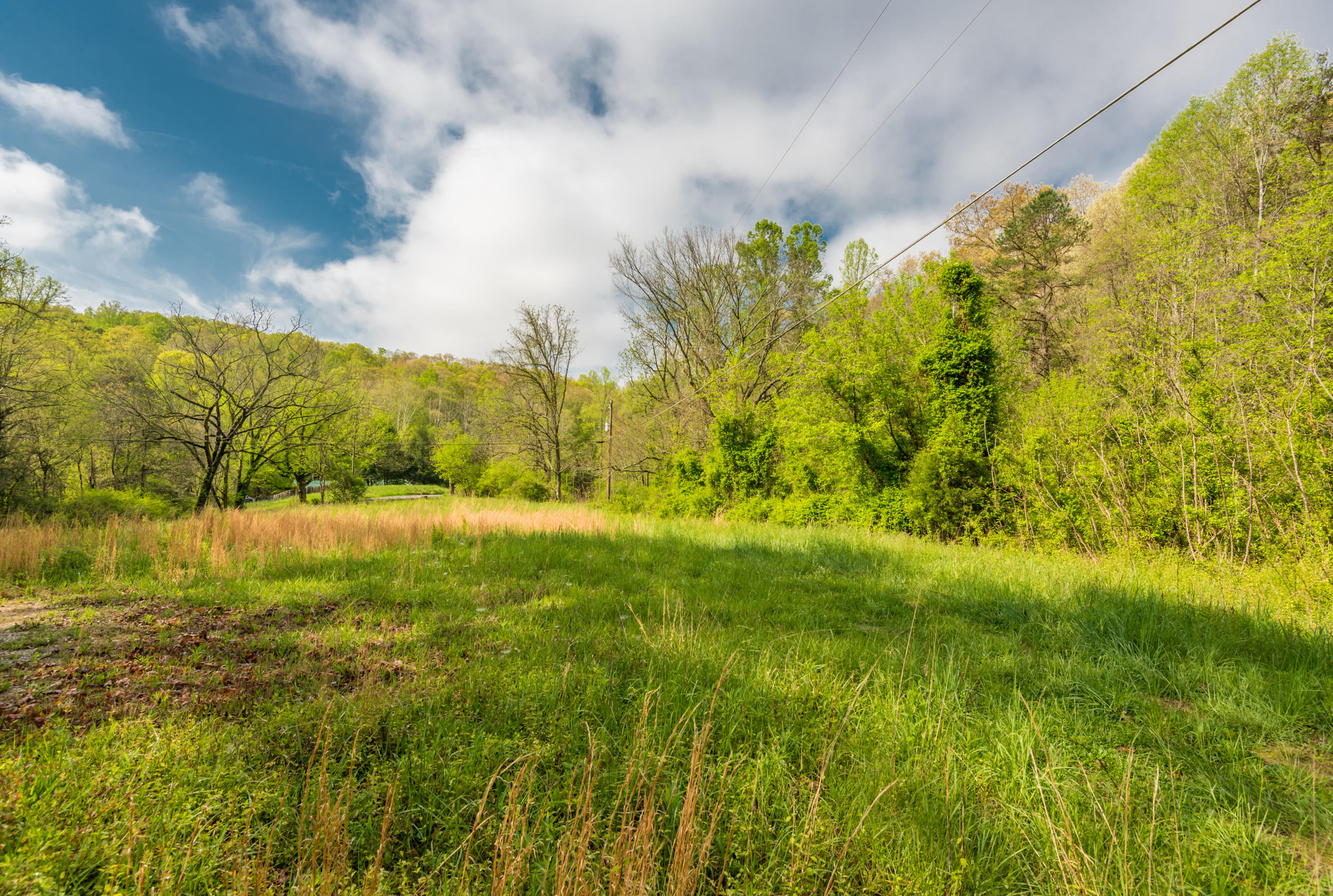 View Road Knoxville, TN 37938 - Photo 24 of 35 8707HighlandView-17