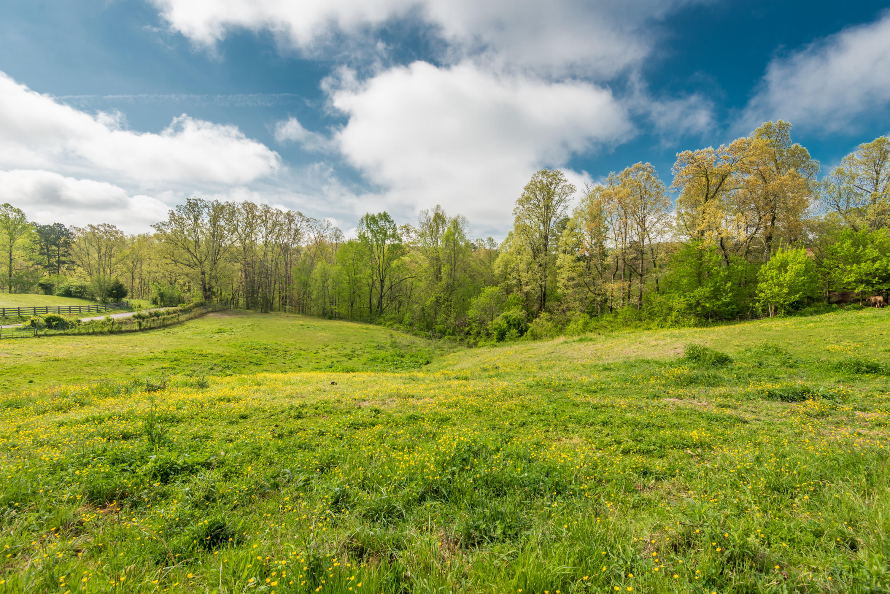 View Road Knoxville, TN 37938 - Photo 25 of 35 8707HighlandView-18