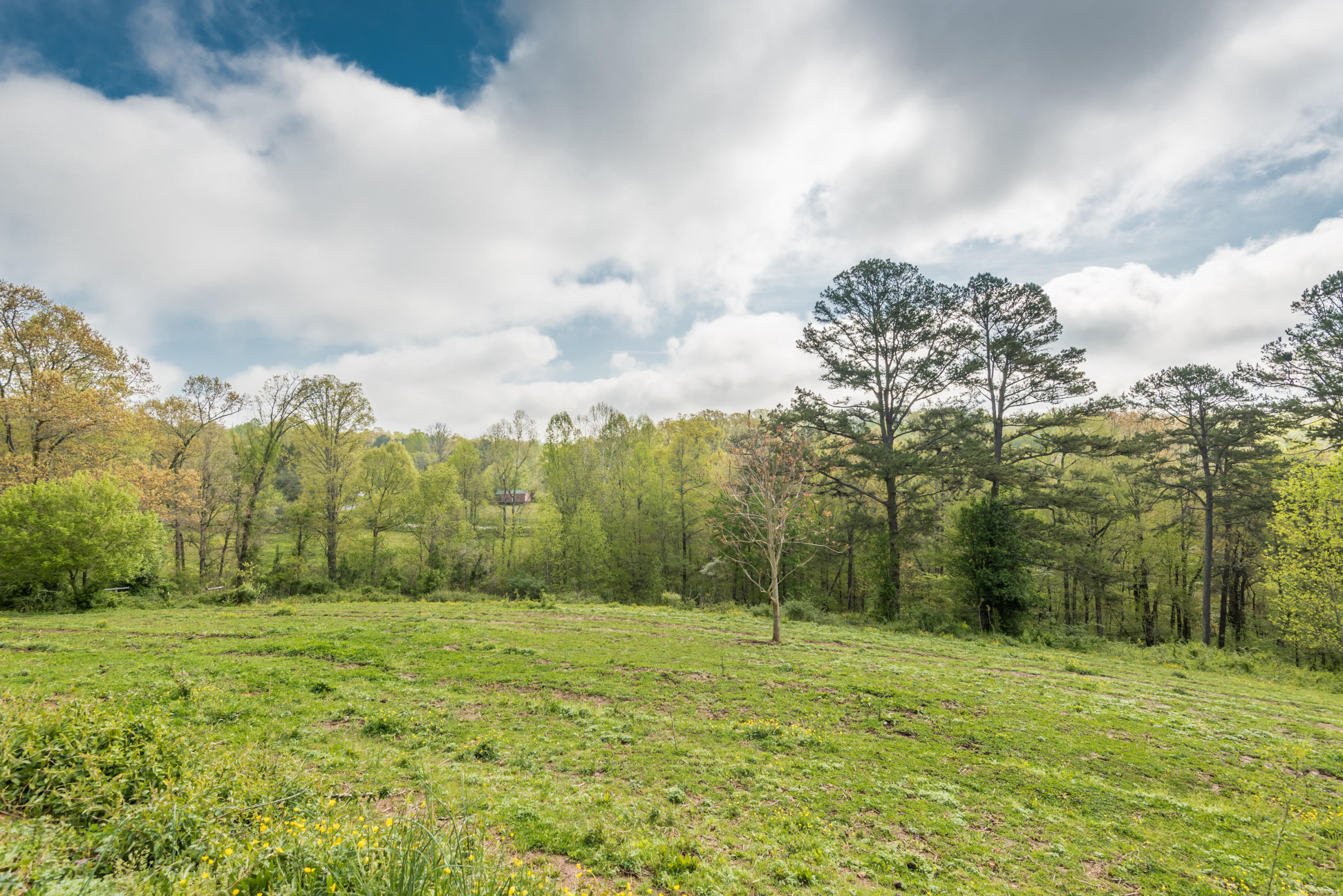 View Road Knoxville, TN 37938 - Photo 26 of 35 8707HighlandView-2