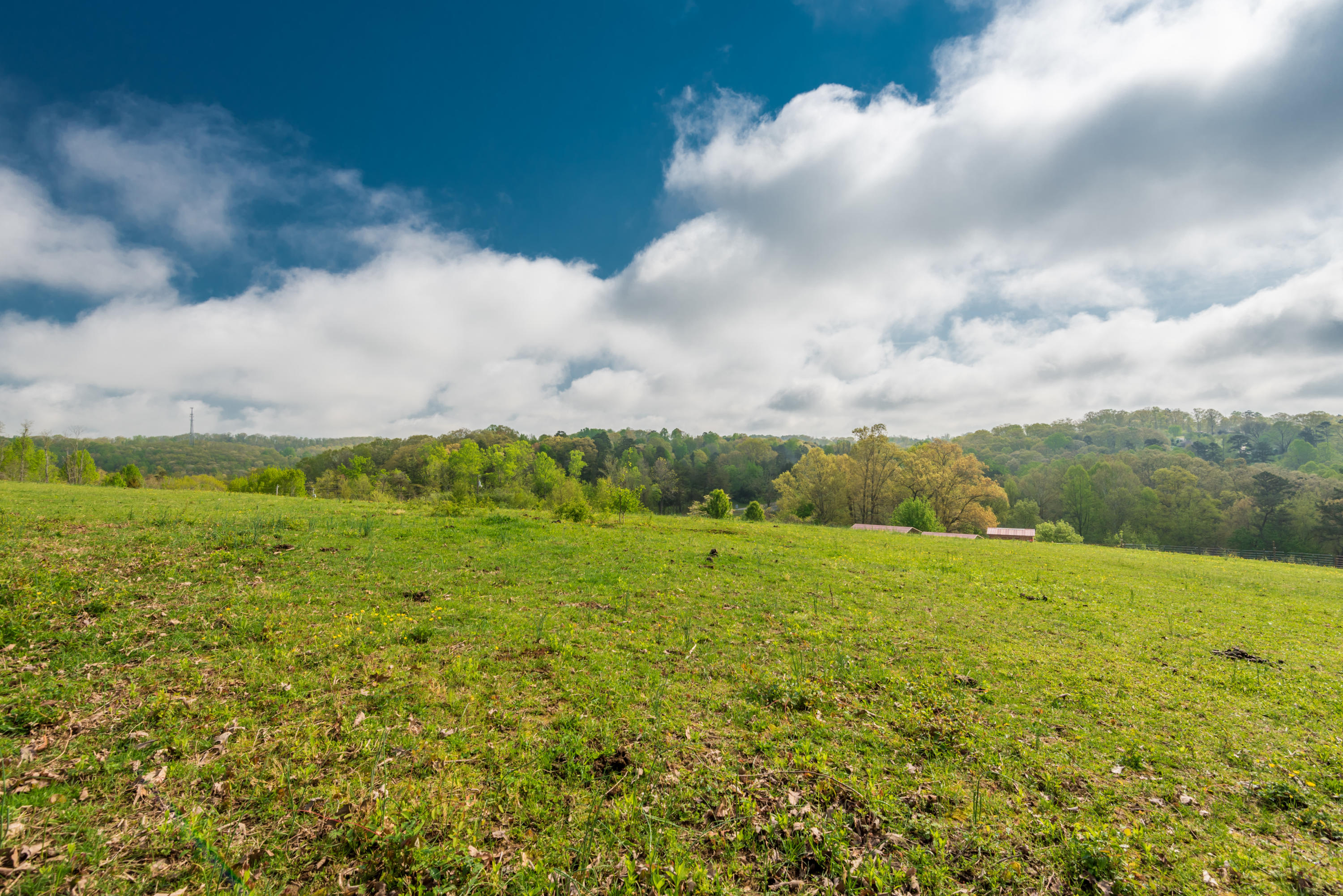 View Road Knoxville, TN 37938 - Photo 29 of 35 8707HighlandView-5
