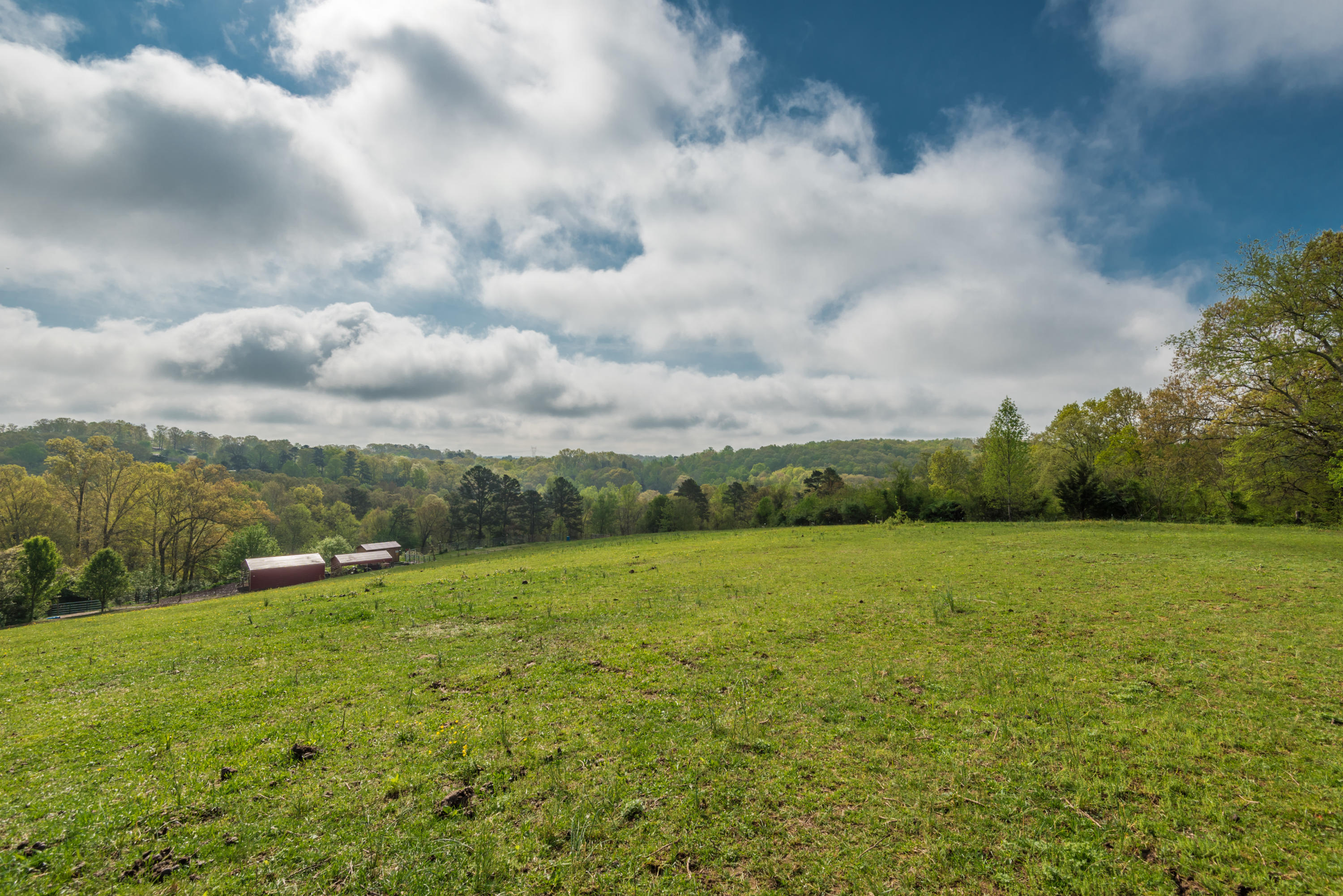 View Road Knoxville, TN 37938 - Photo 30 of 35 8707HighlandView-6
