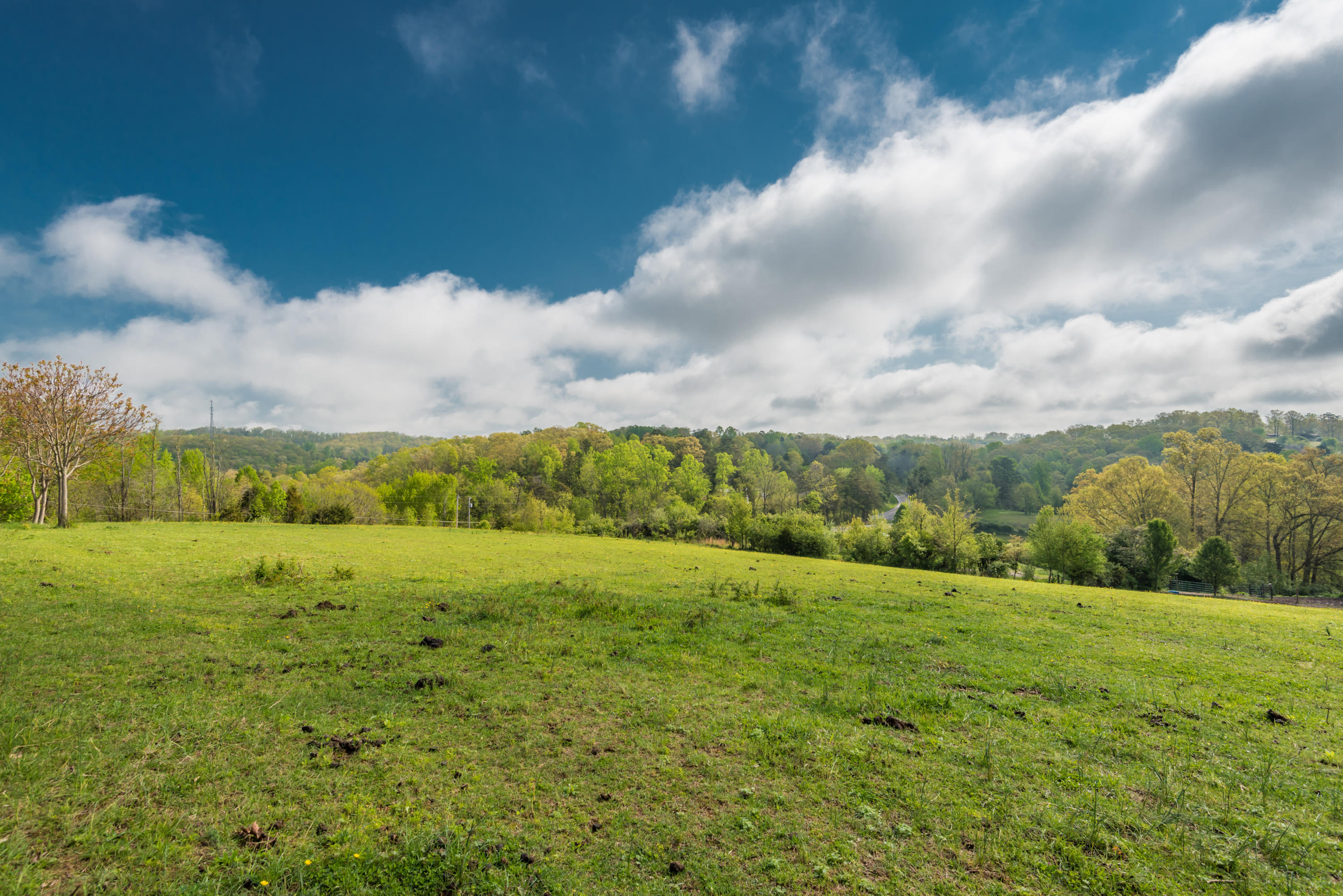 View Road Knoxville, TN 37938 - Photo 31 of 35 8707HighlandView-7