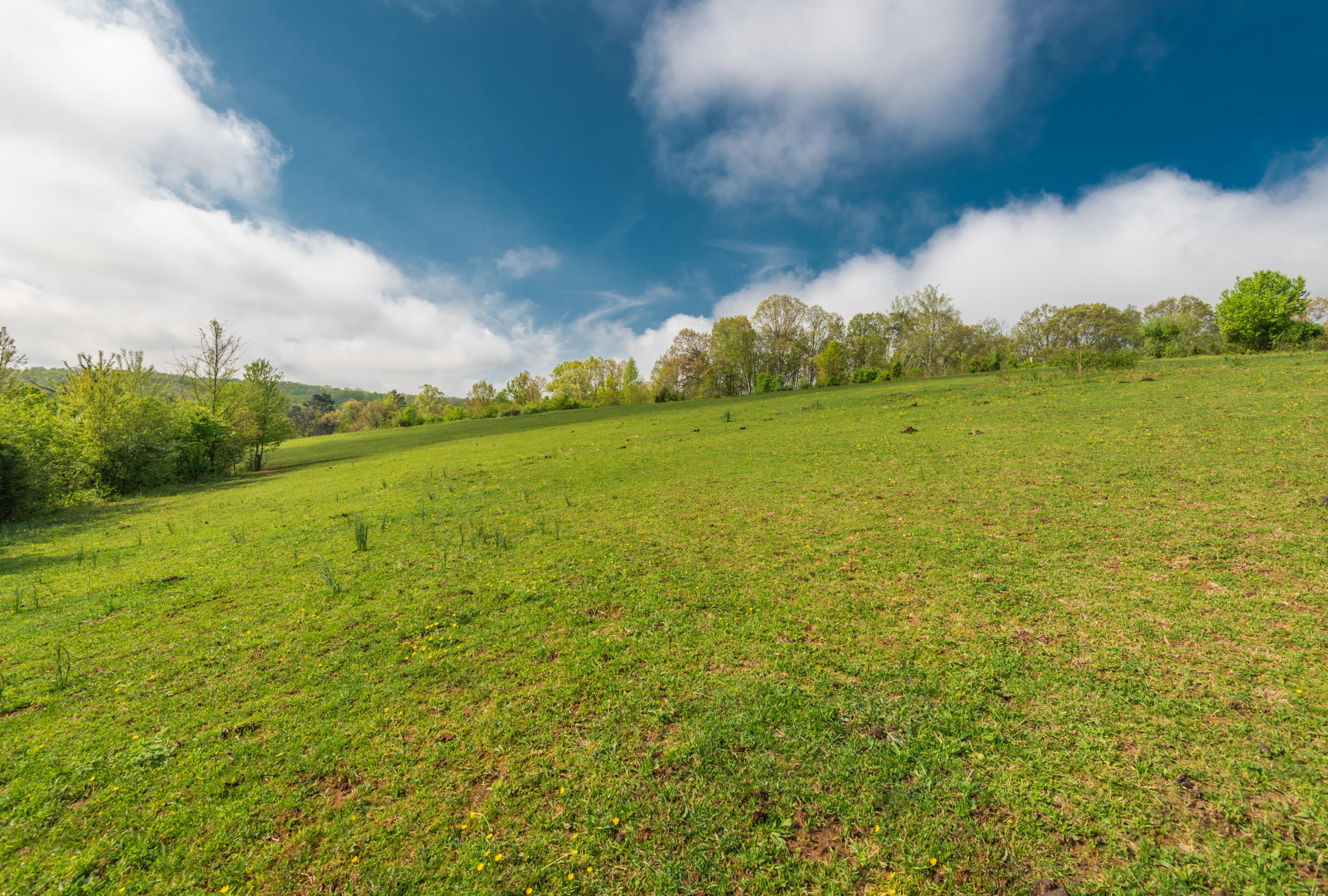 View Road Knoxville, TN 37938 - Photo 32 of 35 8707HighlandView-8