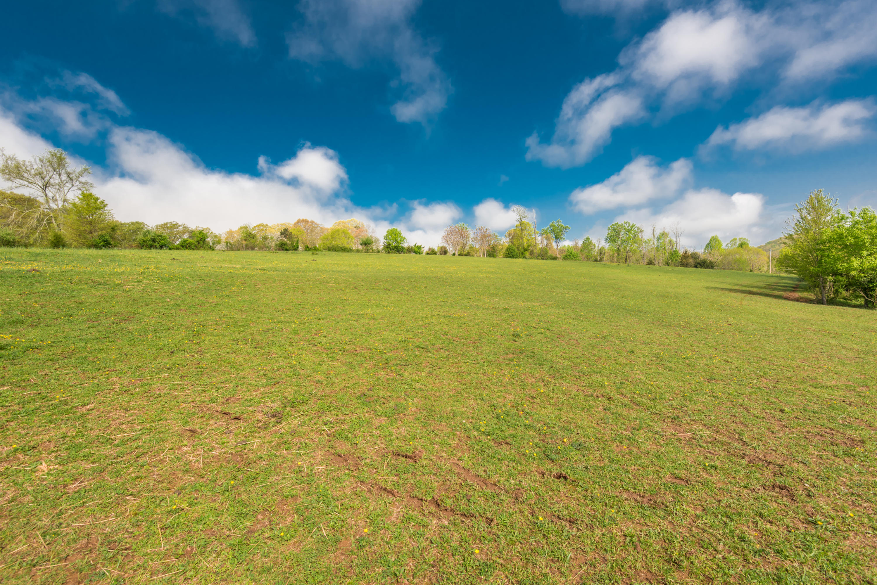 View Road Knoxville, TN 37938 - Photo 33 of 35 8707HighlandView-9