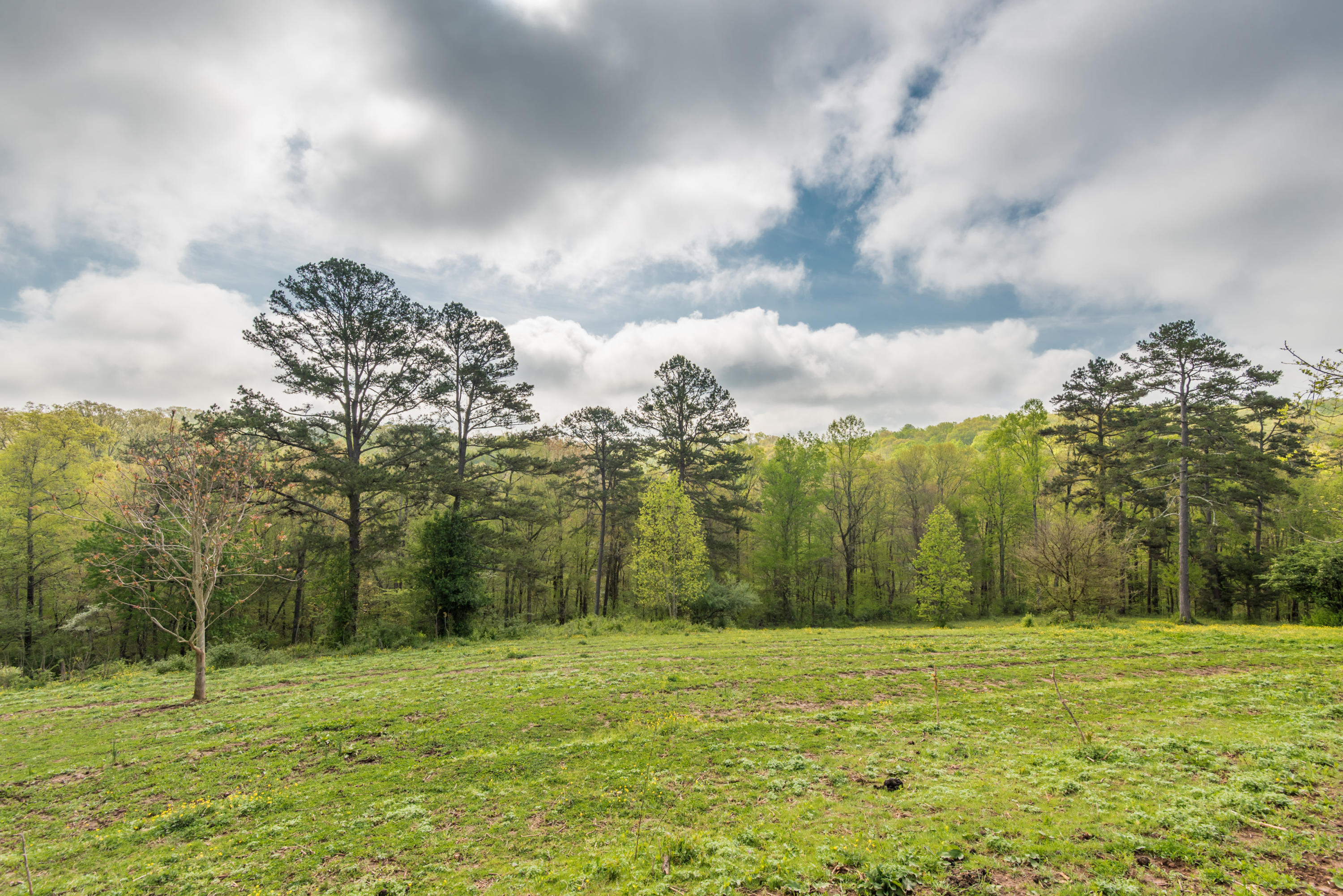 View Road Knoxville, TN 37938 - Photo 34 of 35 8707HighlandView