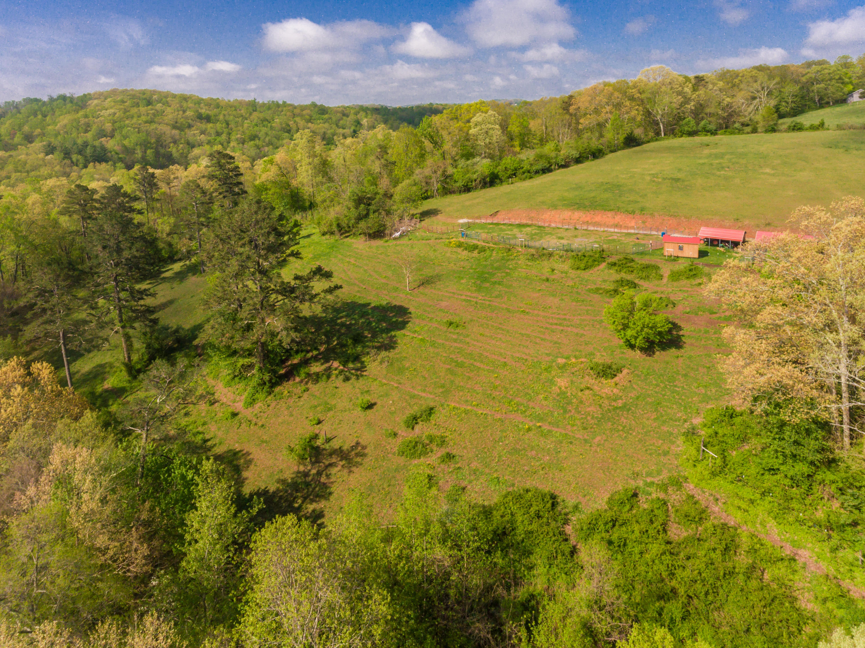 View Road Knoxville, TN 37938 - Photo 10 of 35 8707HighlandView-29