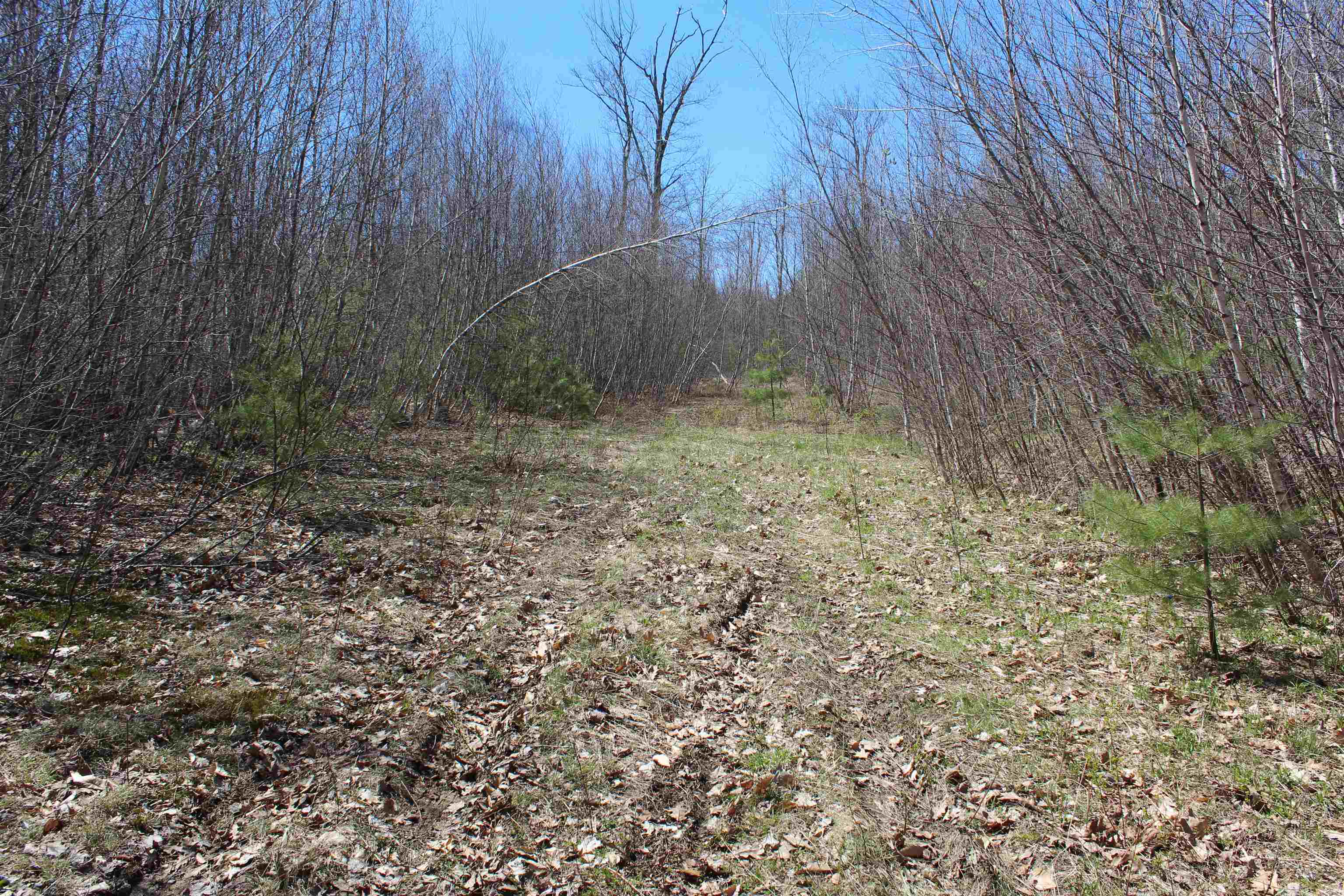 Lot 64 South Barnstead Road, Unit 64 Center Barnstead, NH 03225 - Photo 7 of 10