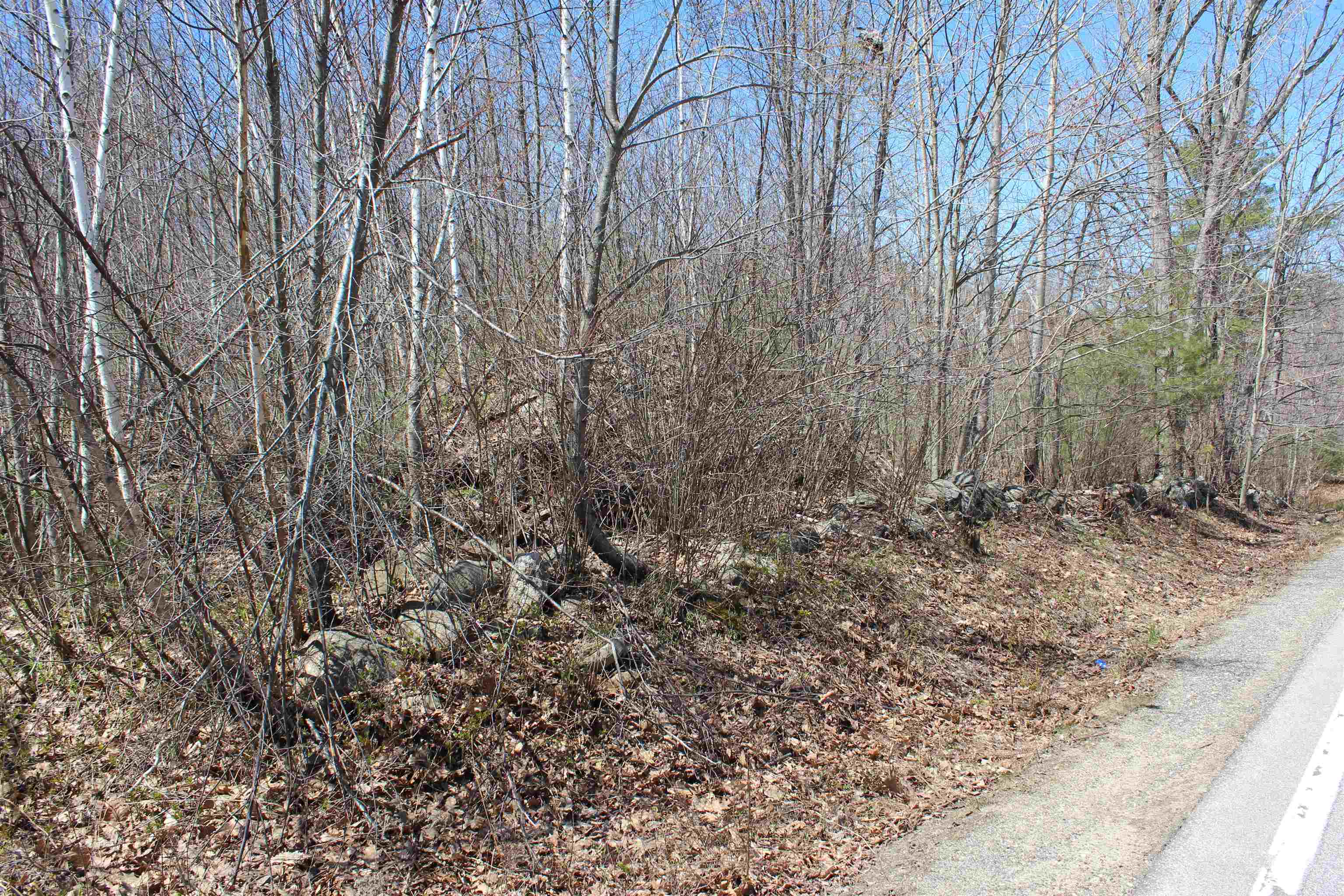 Lot 64 South Barnstead Road, Unit 64 Center Barnstead, NH 03225 - Photo 8 of 10