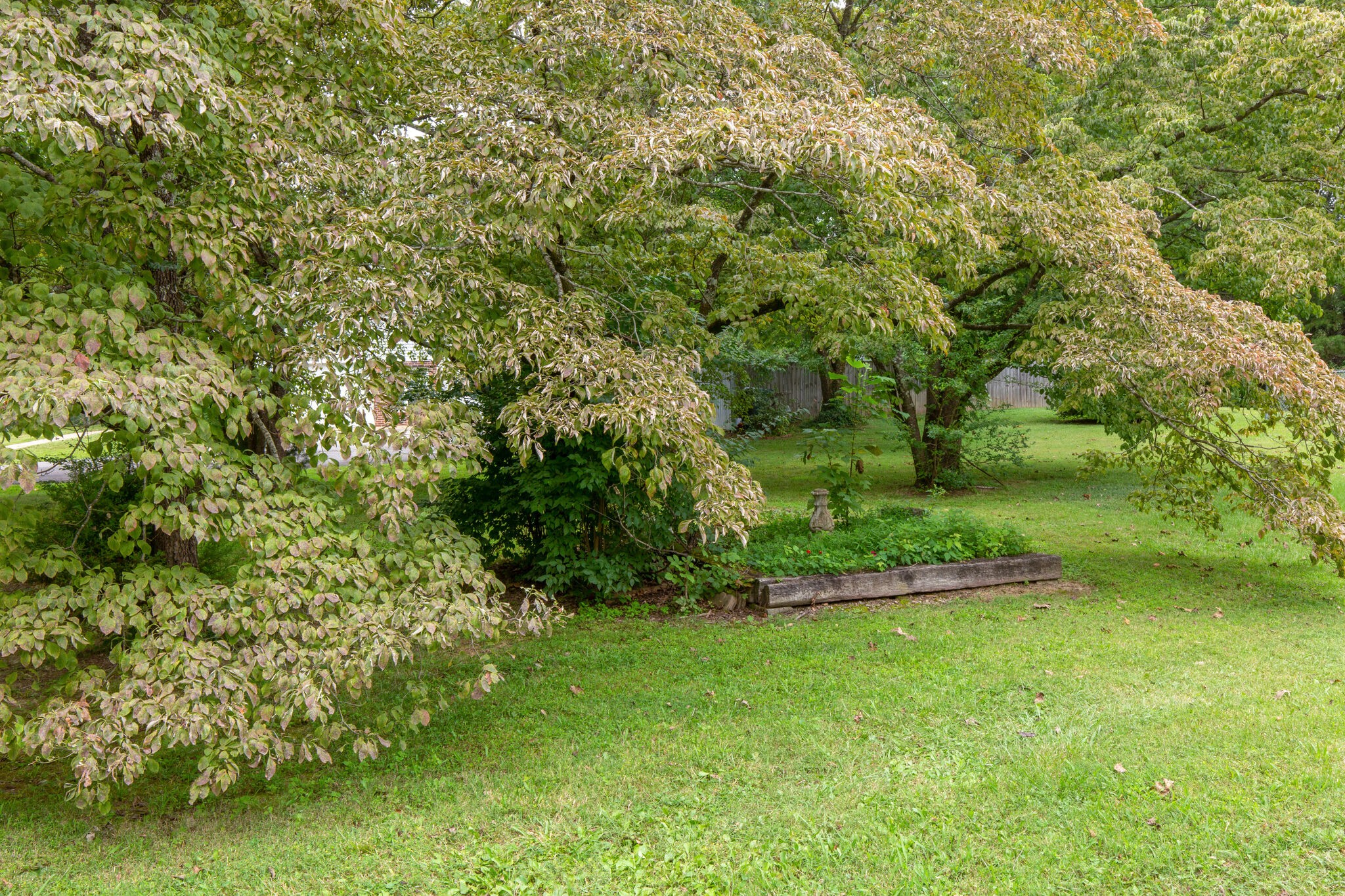 224 Old Columbia Road Dickson, TN 37055 - Photo 26 of 26 Gallery Image 26