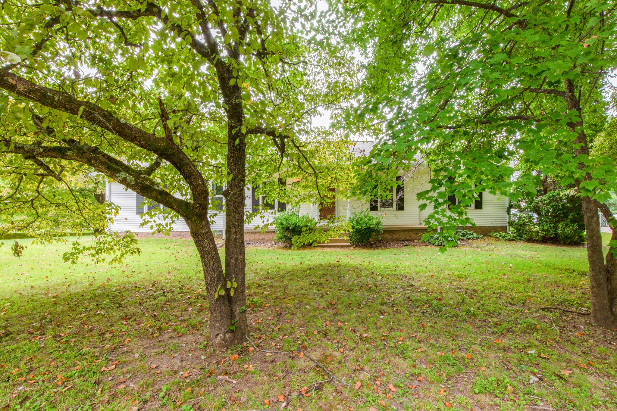 224 Old Columbia Road Dickson, TN 37055 - Photo 4 of 26 Gallery Image 4