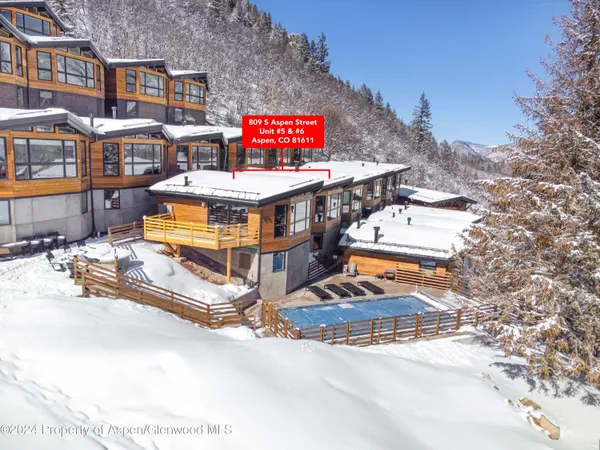 $48,500 | 809 South Aspen Street, Unit 5&6, Aspen, CO 81611