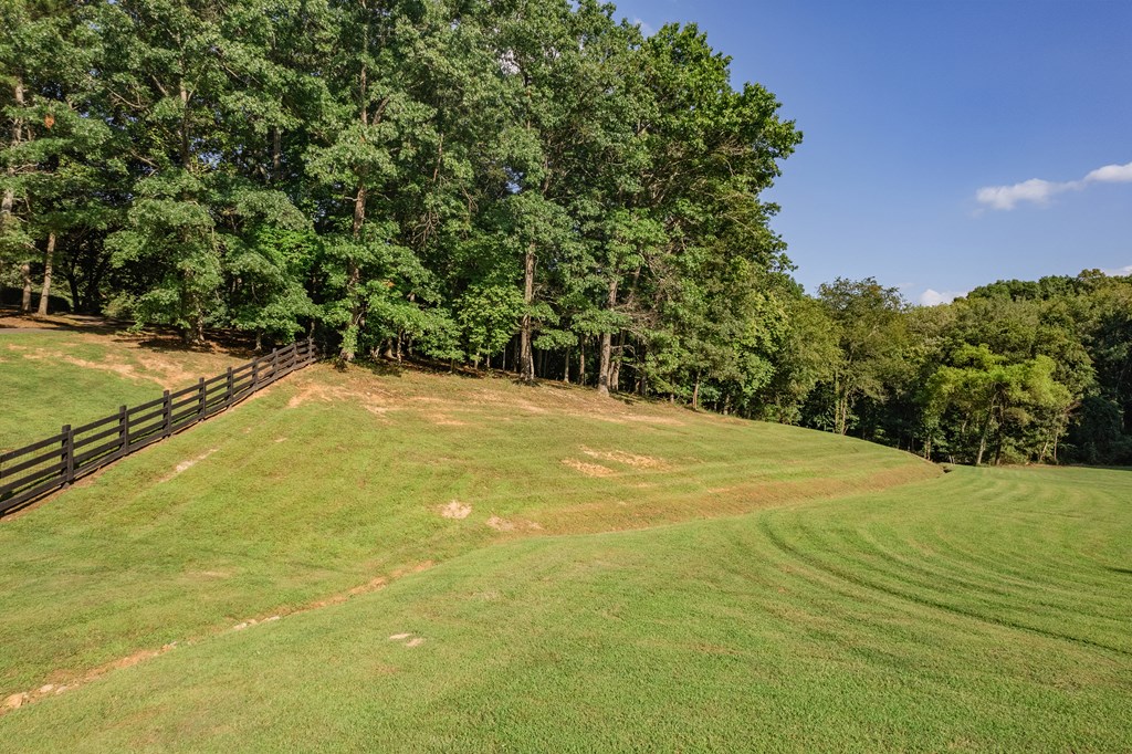 270 Stone Lane Blue Ridge, GA 30513 - Photo 67 of 76